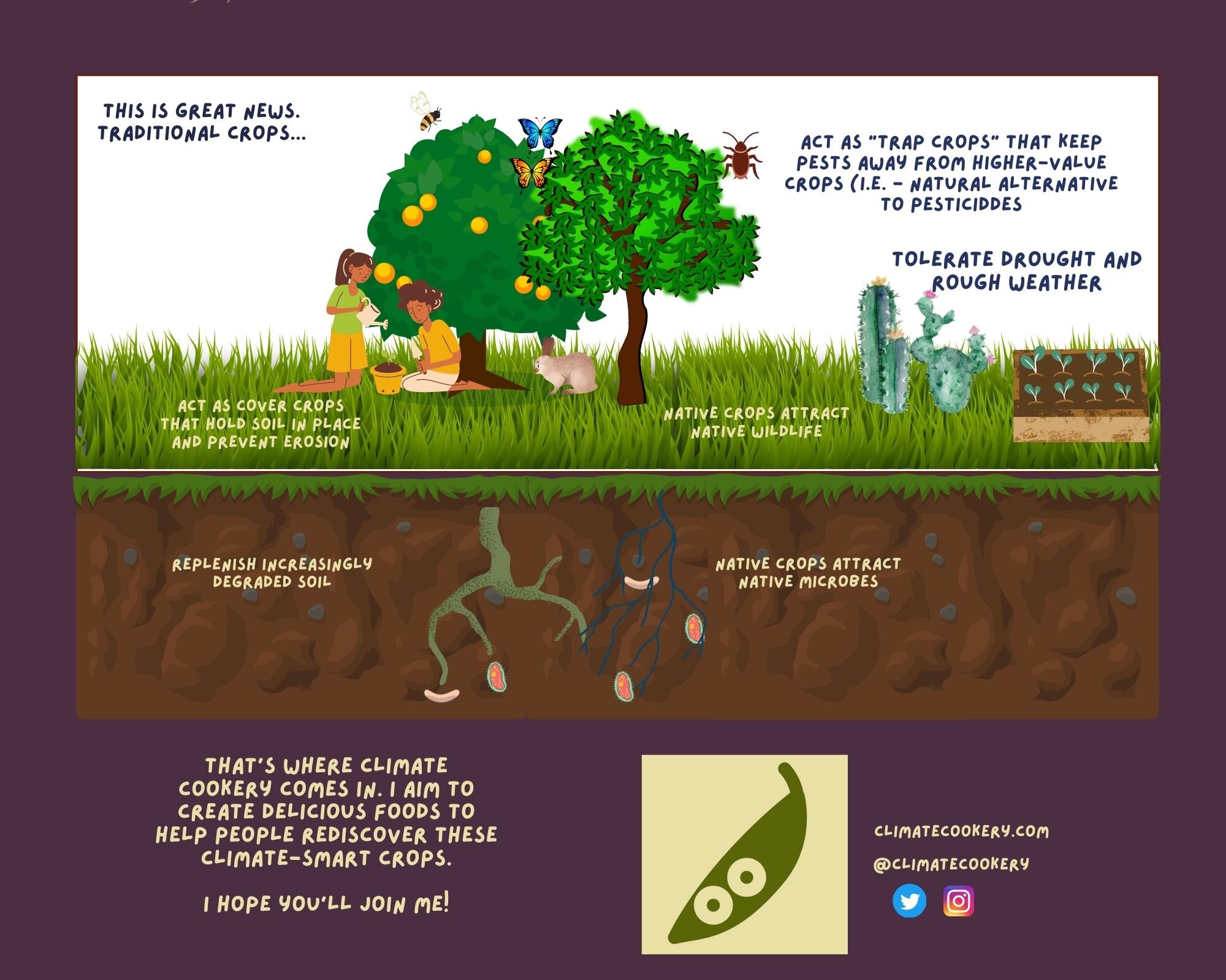 Thank you Canva for the tools to make this comic.