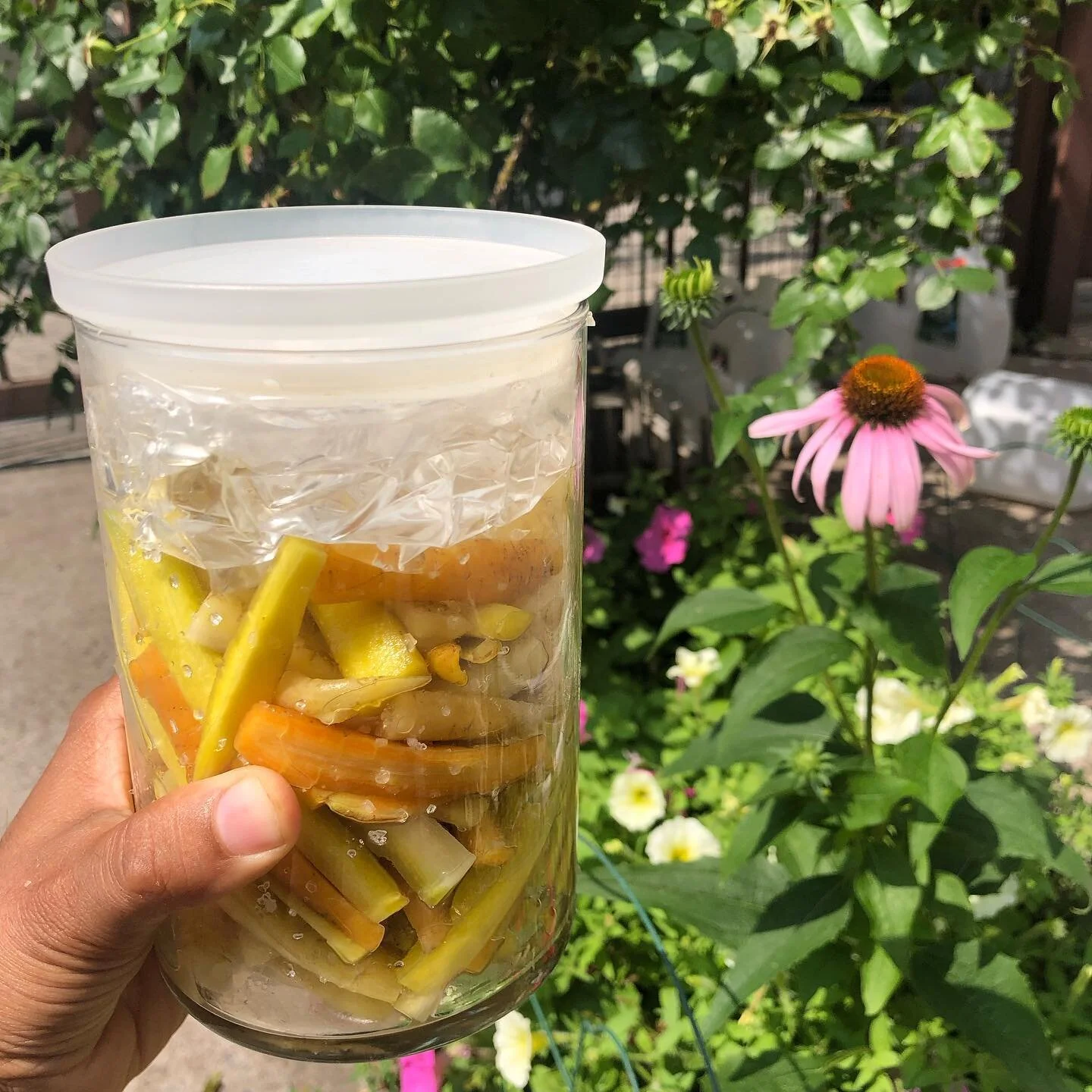 My business is on hold for two weeks, pretty stressful. But self-isolation also gives me time for cooking projects, like pickling carrots! I also made homemade veggie stock from shelled pea pods 🙌🏾🙌🏾 (it&rsquo;s not as pretty tho)