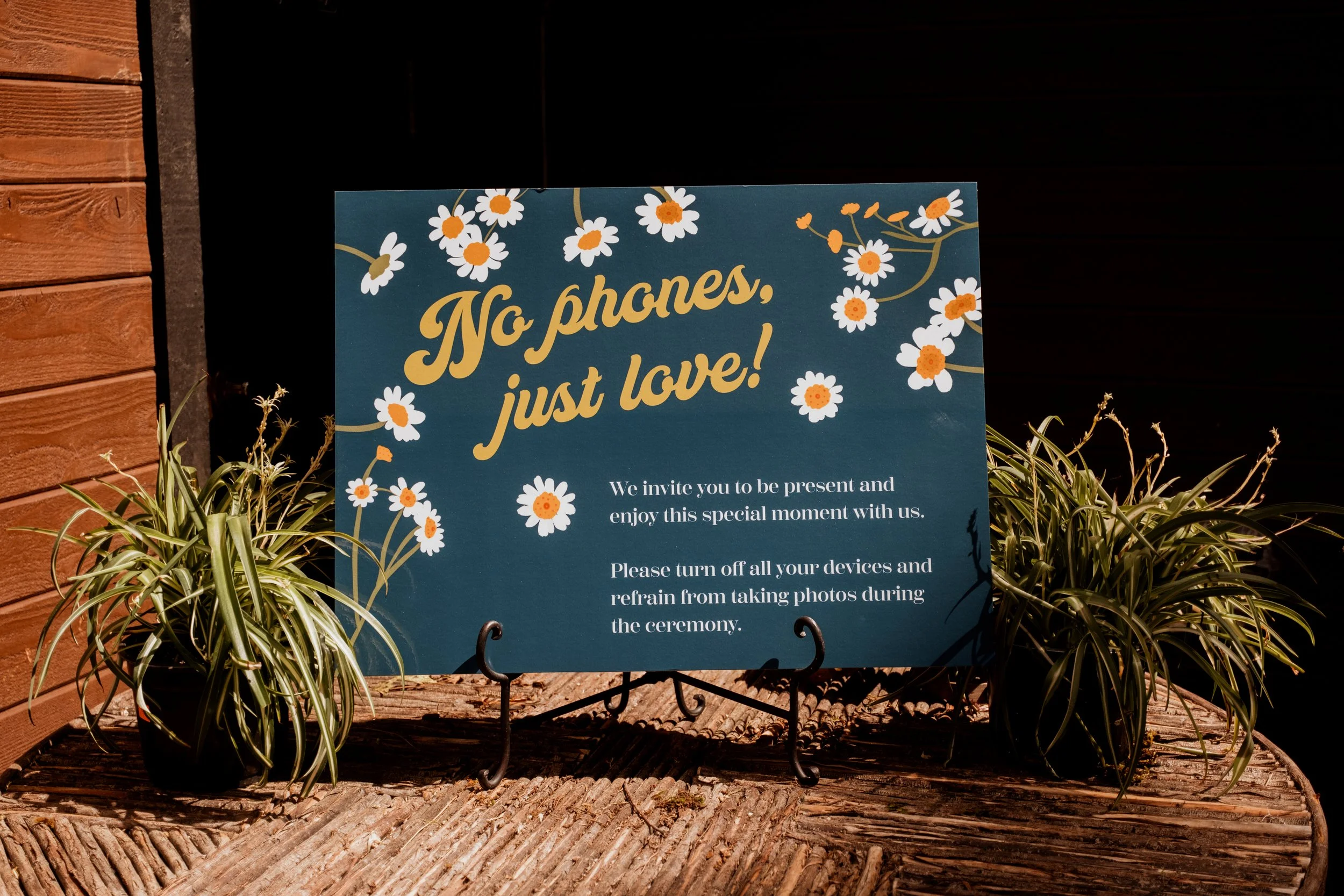 A blue sign with daisies and beige text reads 'No phones, just love!' It invites guests to enjoy the moment and refrain from taking photos during the ceremony, and is placed on a stand between two potted plants on a wooden surface.