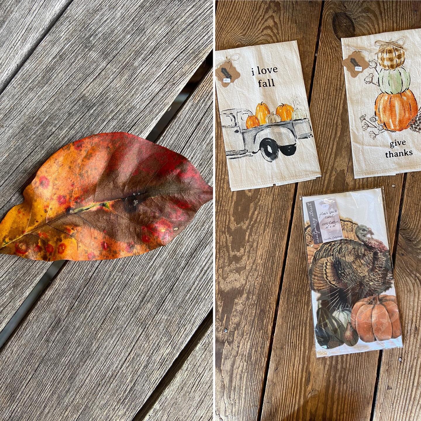 Oh my!! One more day in August&hellip; leaves 🍁🍂are starting to change&hellip; Fall towels are in stock &amp; out on the floor $10. Hurry they won&rsquo;t last. Perfect hostess gift. See you soon. #thecookstore #shoplocal #livelocal #falltowels #se