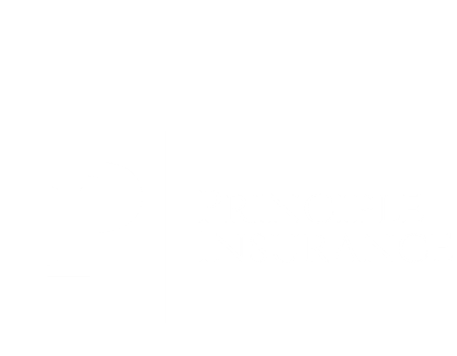 Principle Insurance