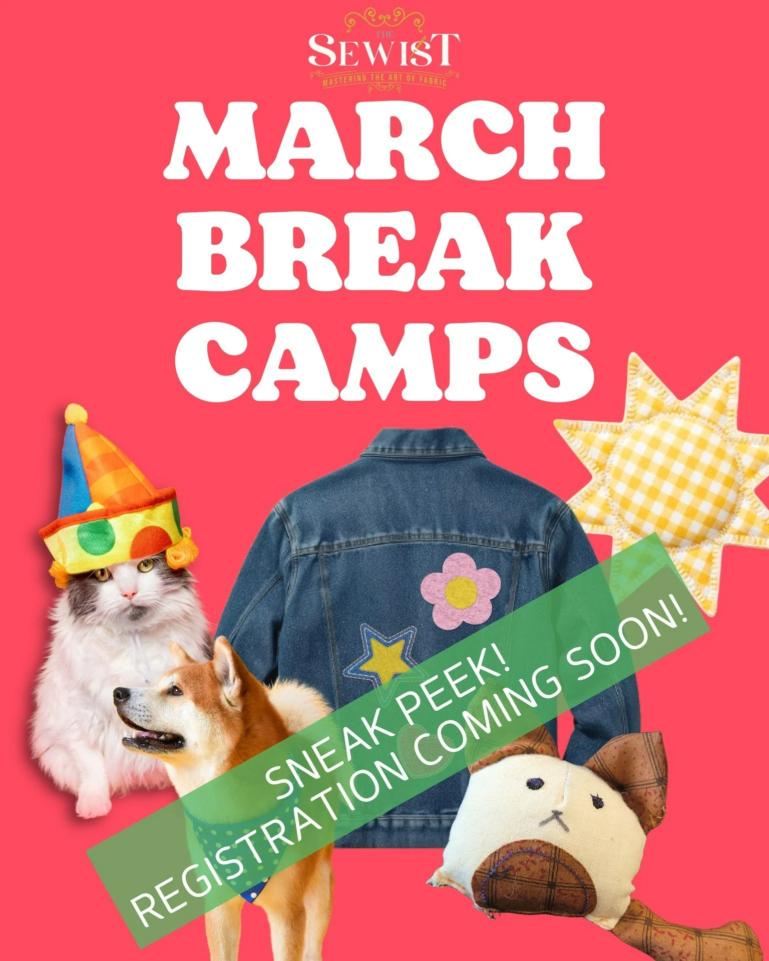 Registration for our March Break camps will go live on Dec 27th, and boy do we have a fun line up!
Here's what we have in store:
Pet Party (full day) - Whether you're team cat or team dog make some fun toys and accessories for your pet. A special fur