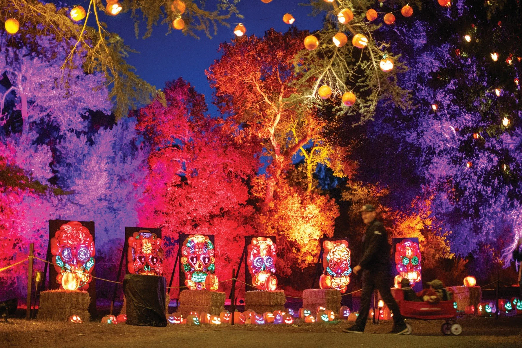 Fun Fall Events this October