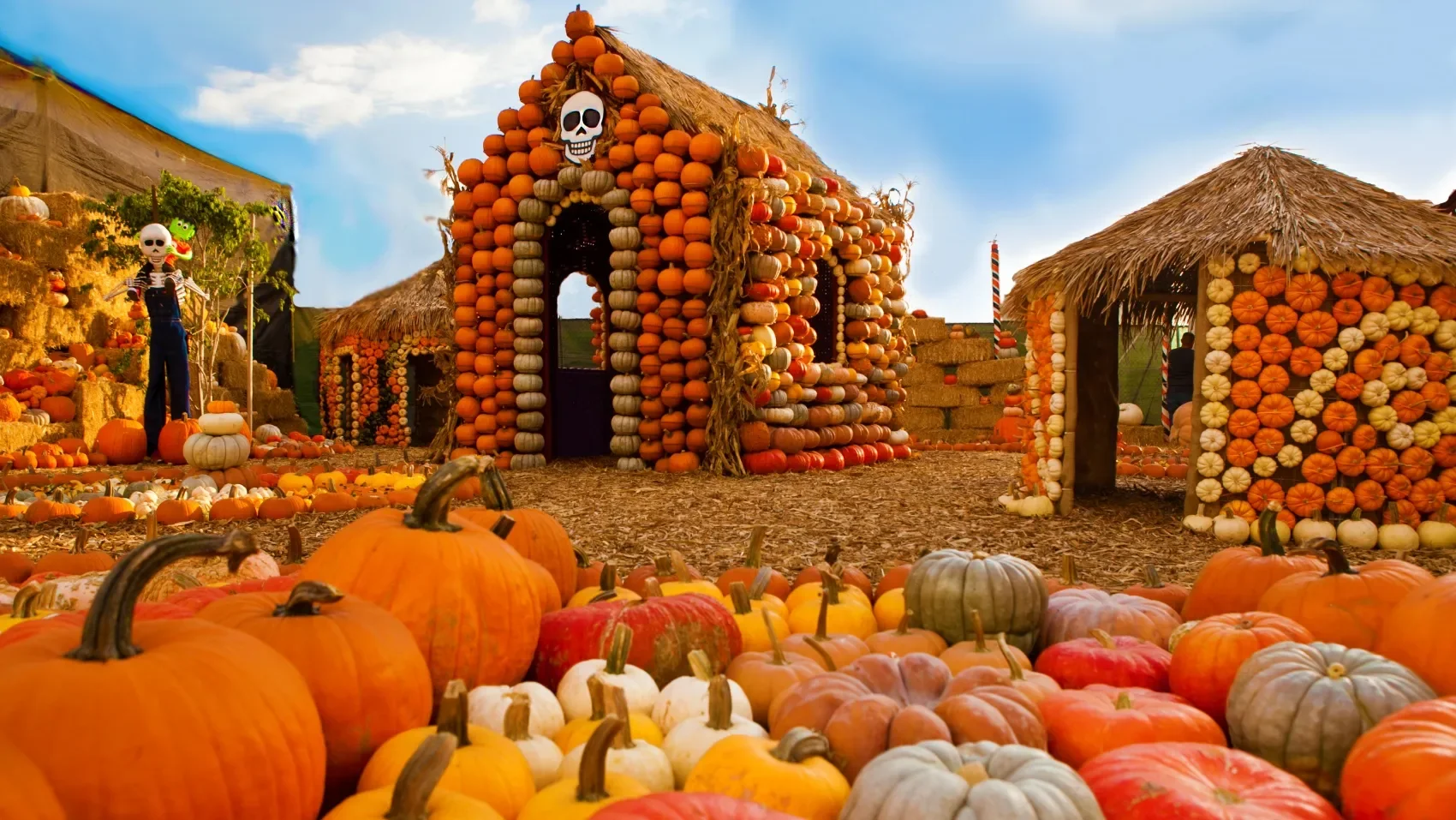 7 Great Socal Pumpkin Patches