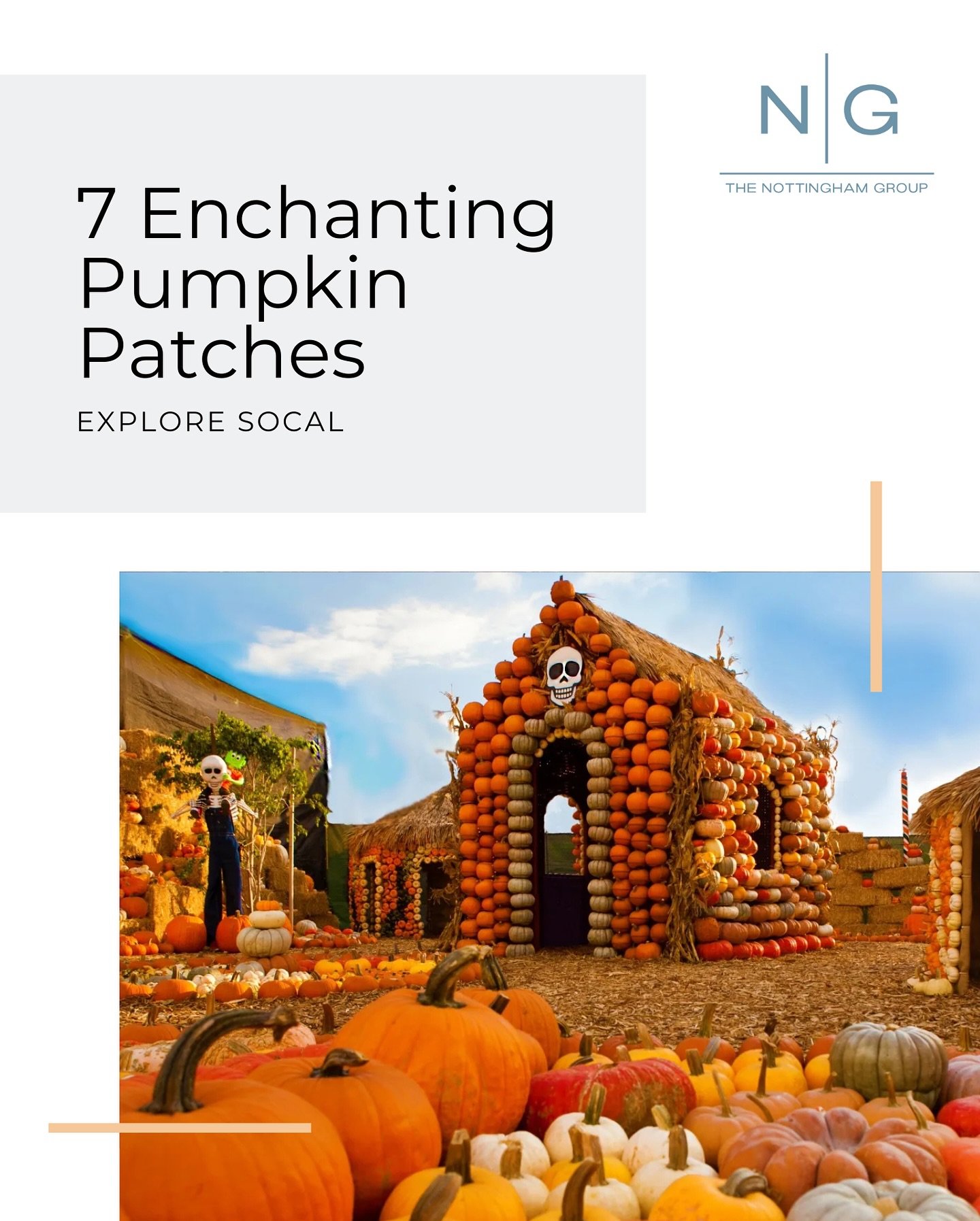 Get ready for a weekend of family fun at one of these top pumpkin patches located throughout SoCal. From pumpkin, picking, to exciting corn, mazes, and plenty of rides, there is something for everyone.🎃
&bull;
&bull;
&bull;
&bull;
#pumpkinpatch #pum