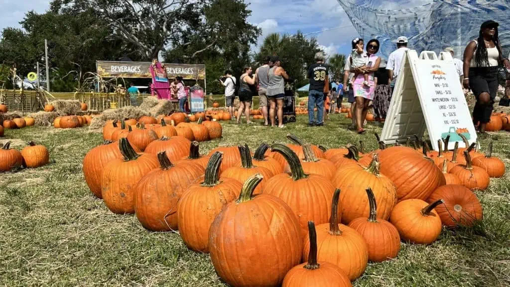October Events