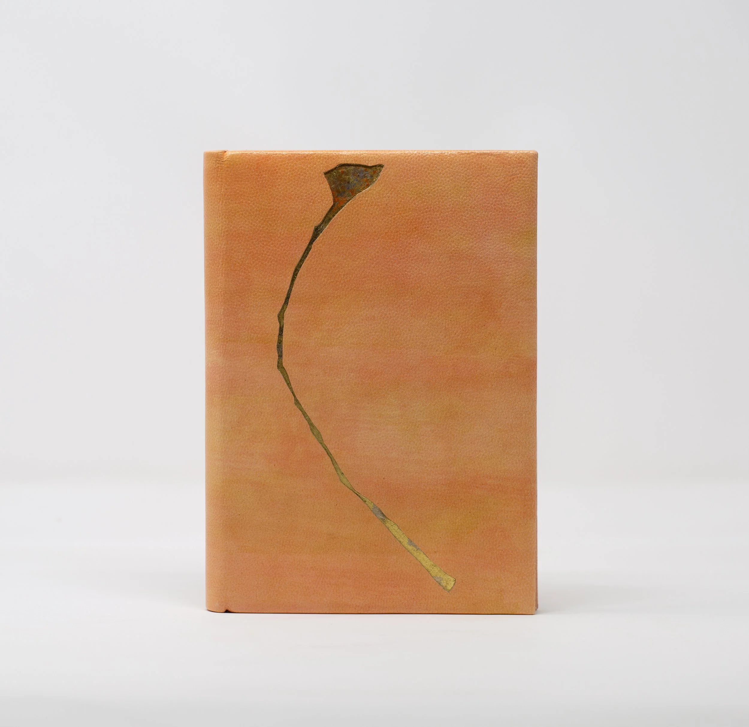 Front cover.jpg