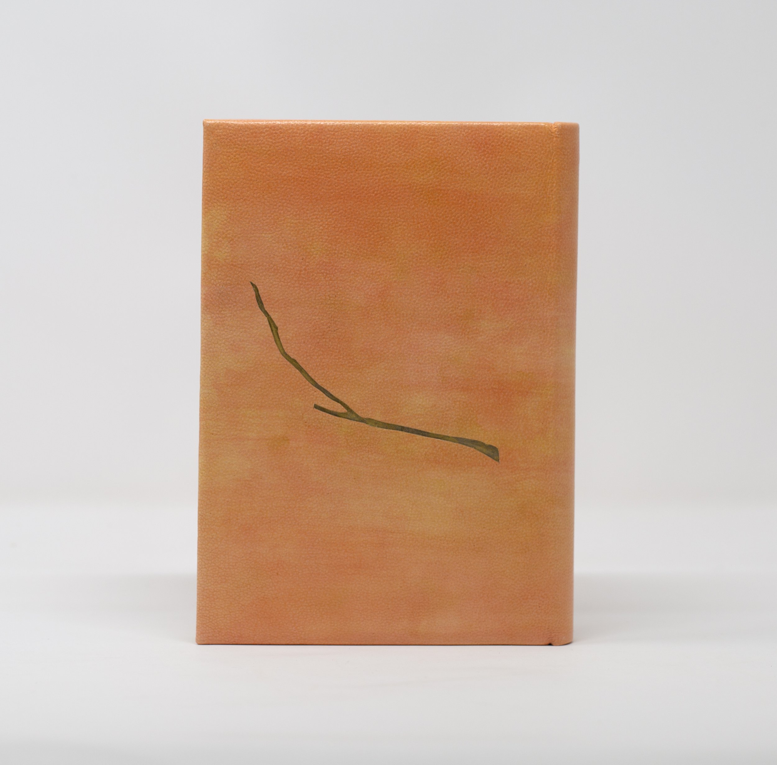 The Tree_back cover.jpg