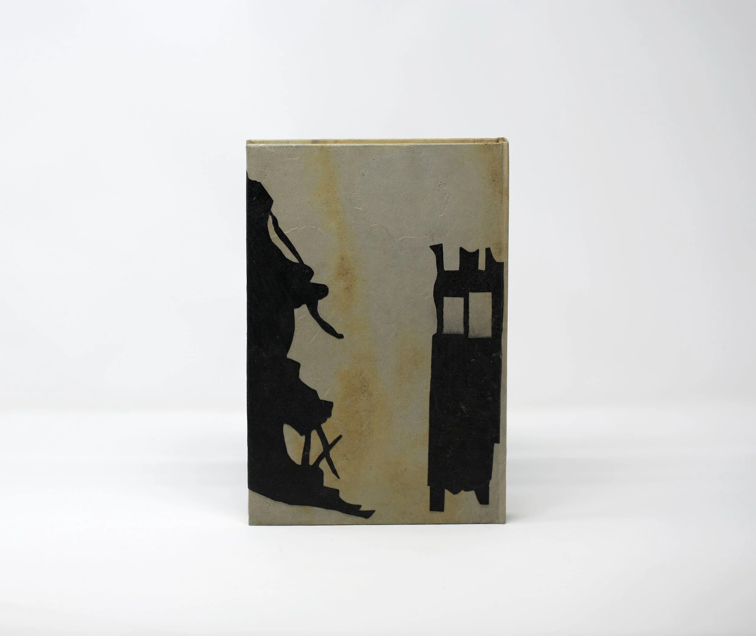 Back cover.jpg
