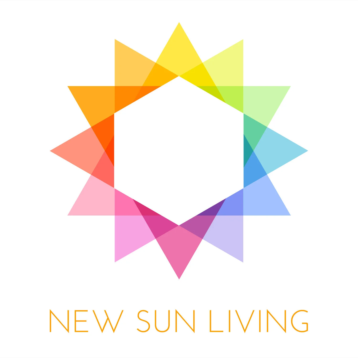 170524_NSL_LOGO_WEB.jpg