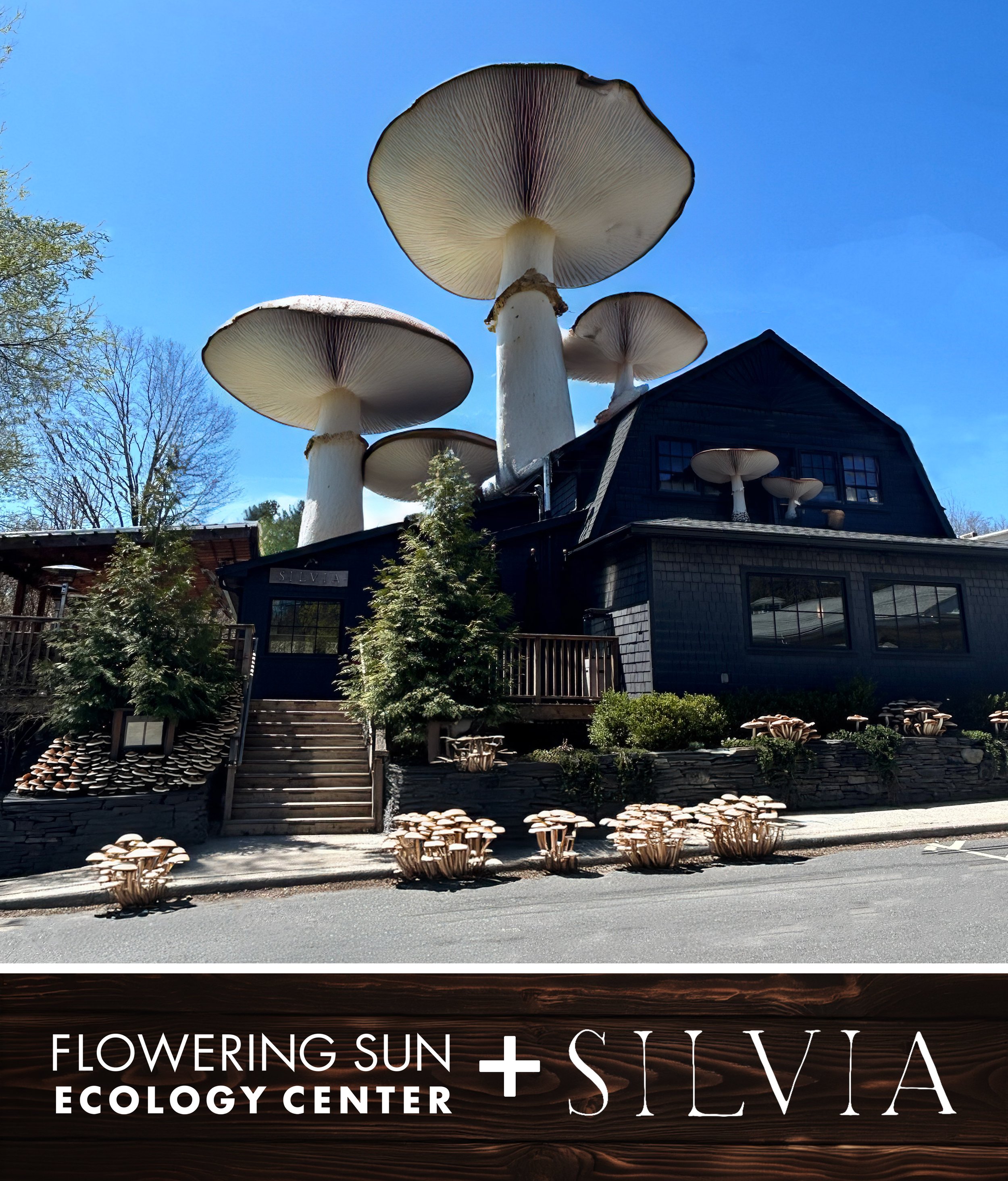 AI created mushrooms at Silvia created in collaboration with Flowering Sun Ecology Center.