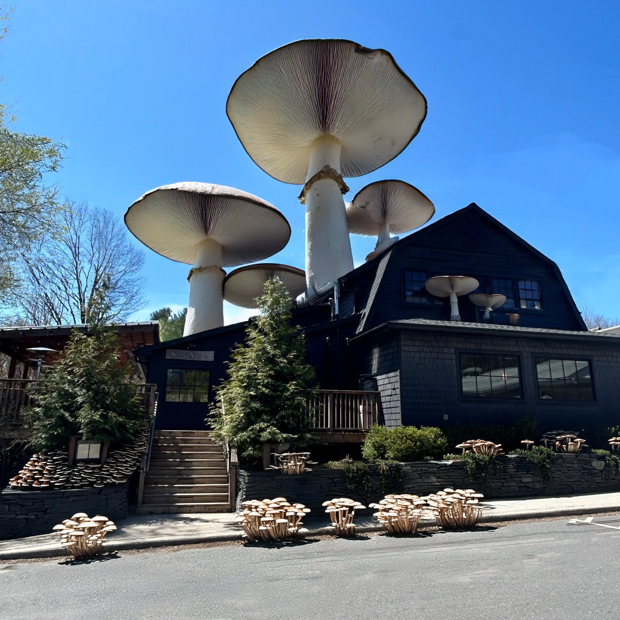 Flowering Sun Ecology Center