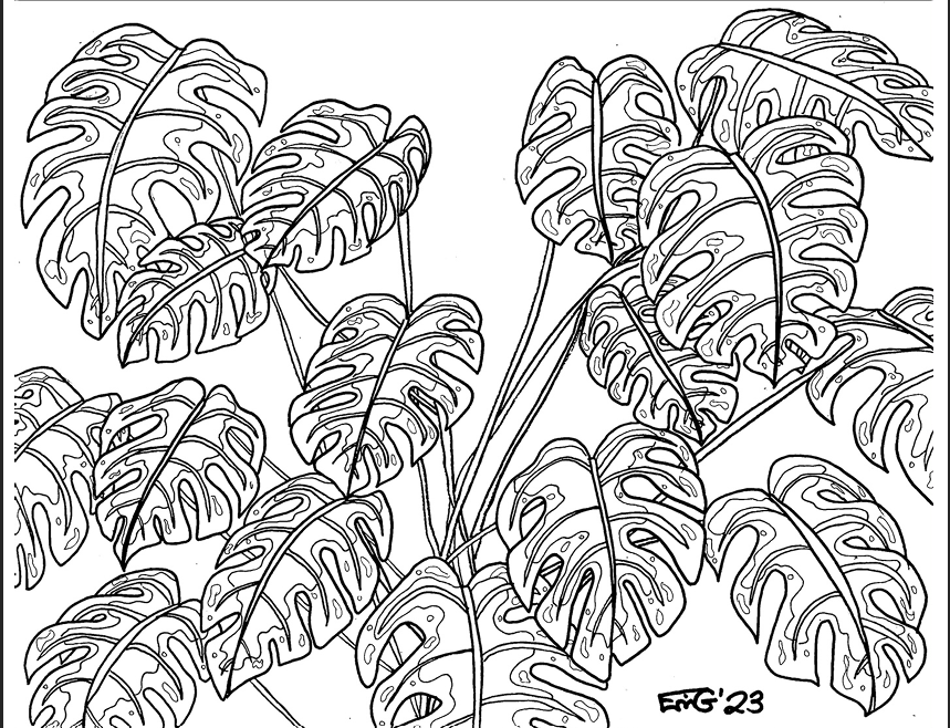 Monstera Plant Colouring Page (Erin G.)
