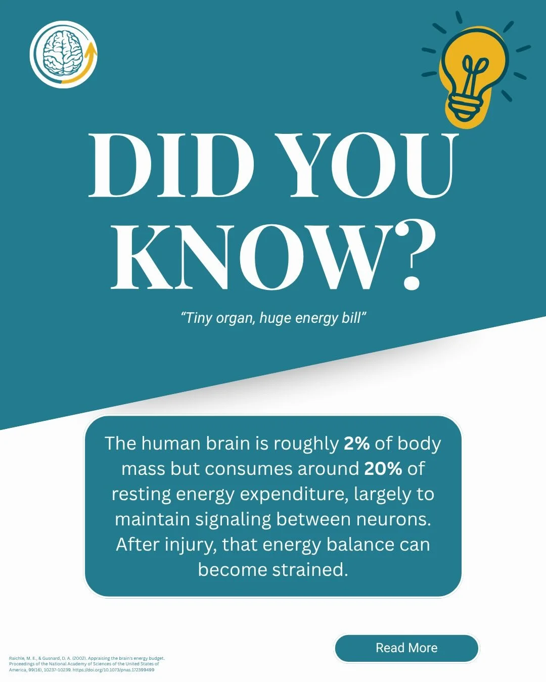 🧠 Your brain may be small, but its energy demands are huge! After a brain injury, giving your brain time to recharge is an important part of recovery. 🔋💛

#BrainHealth #TBIRecovery #ConcussionAwareness #KYHU