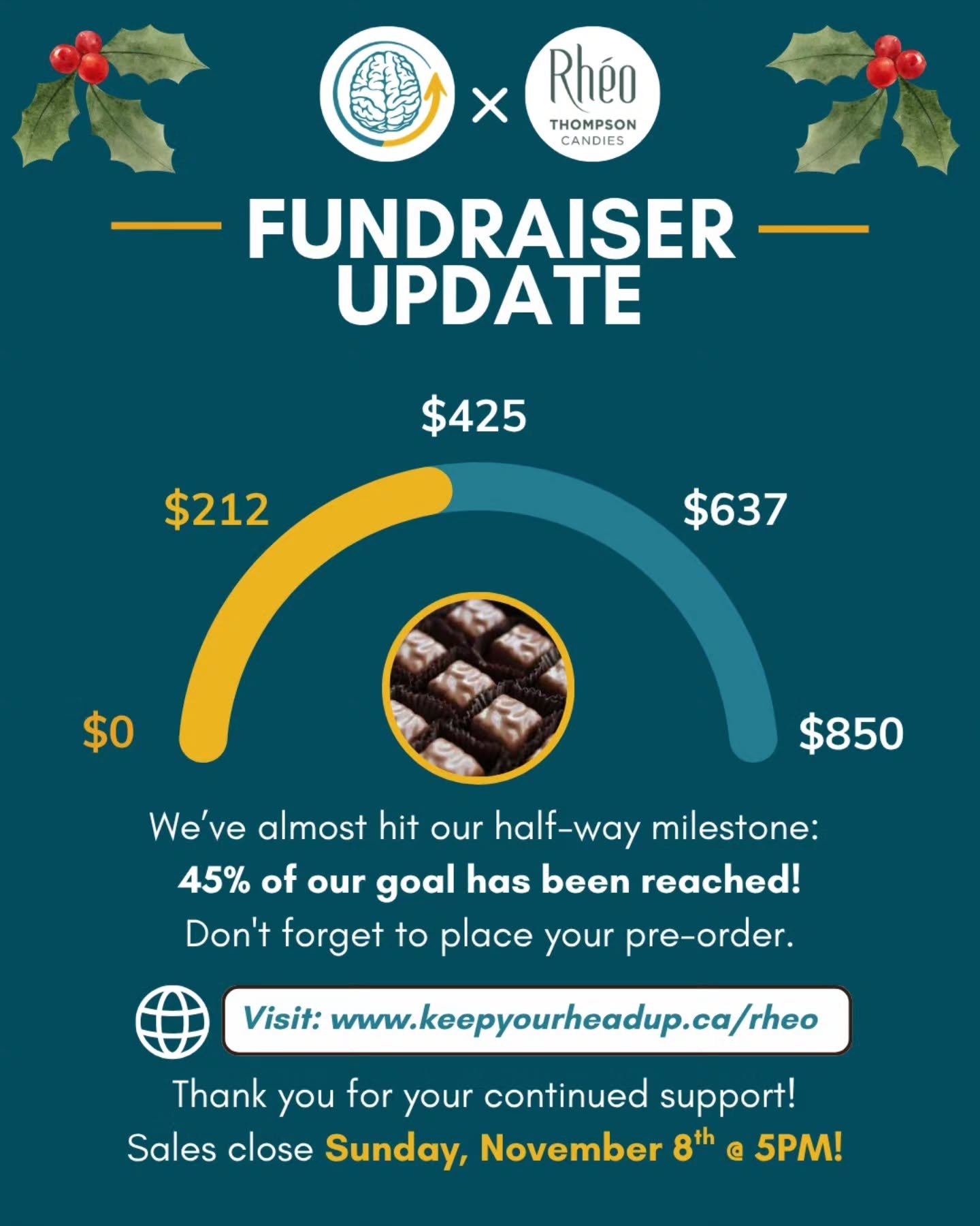 🎉 We&rsquo;re 45% of the way to our goal!

There&rsquo;s still lots of time to make your impact!

Sales for the Rheo Thompson Holiday Fundraiser close on Sunday, November 8th. 🍫 🧠 

Every chocolate purchased helps us fulfill our mission to support