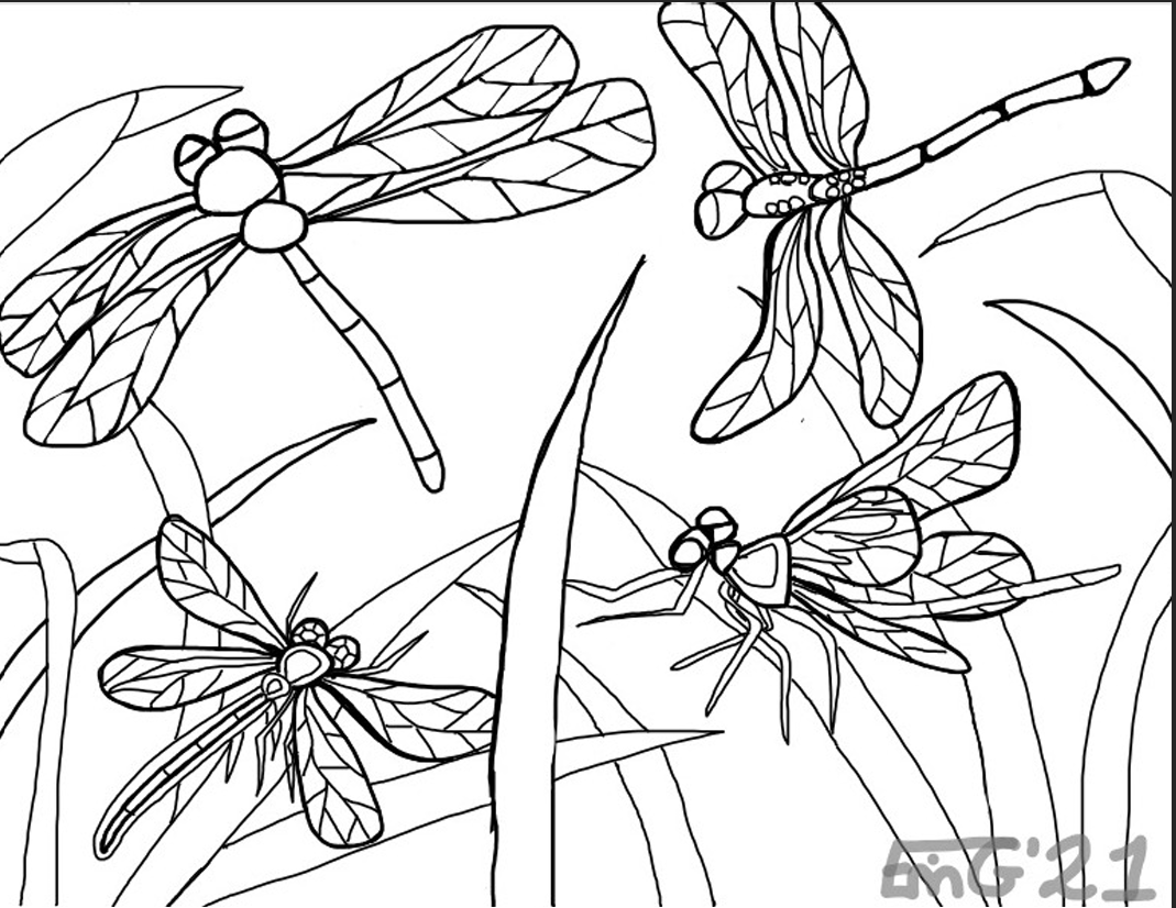 Dragonflies Colouring Page (Erin G.)