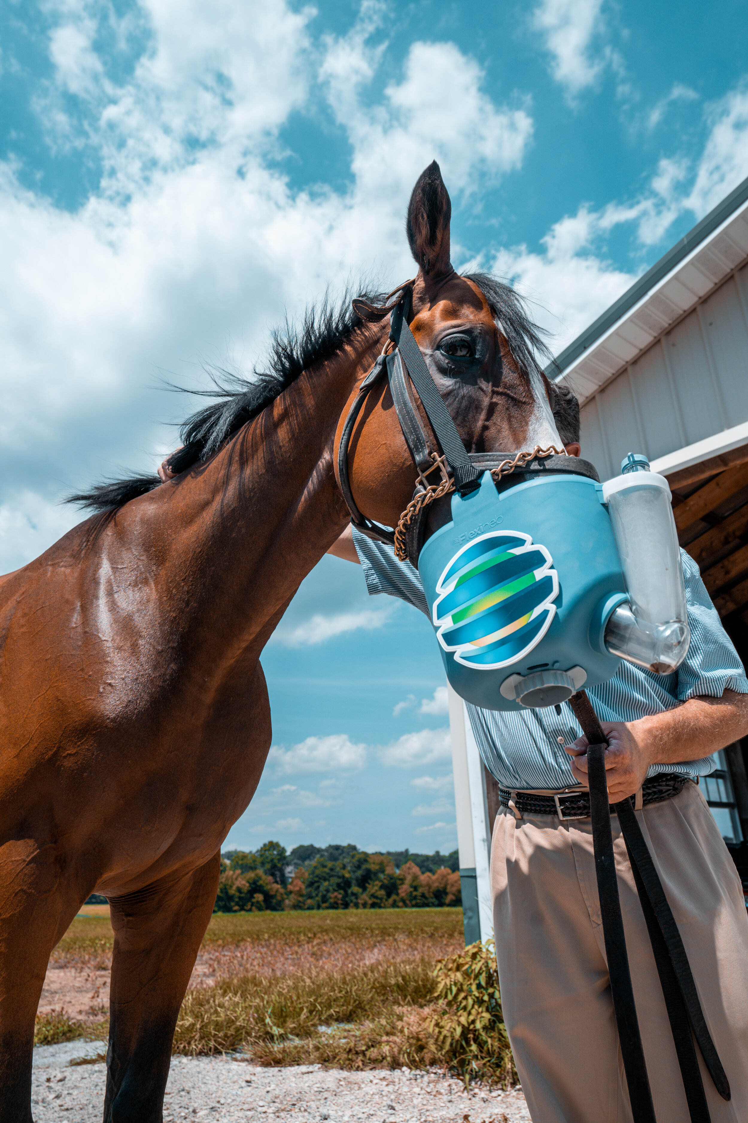 Nebulizer 4.jpg