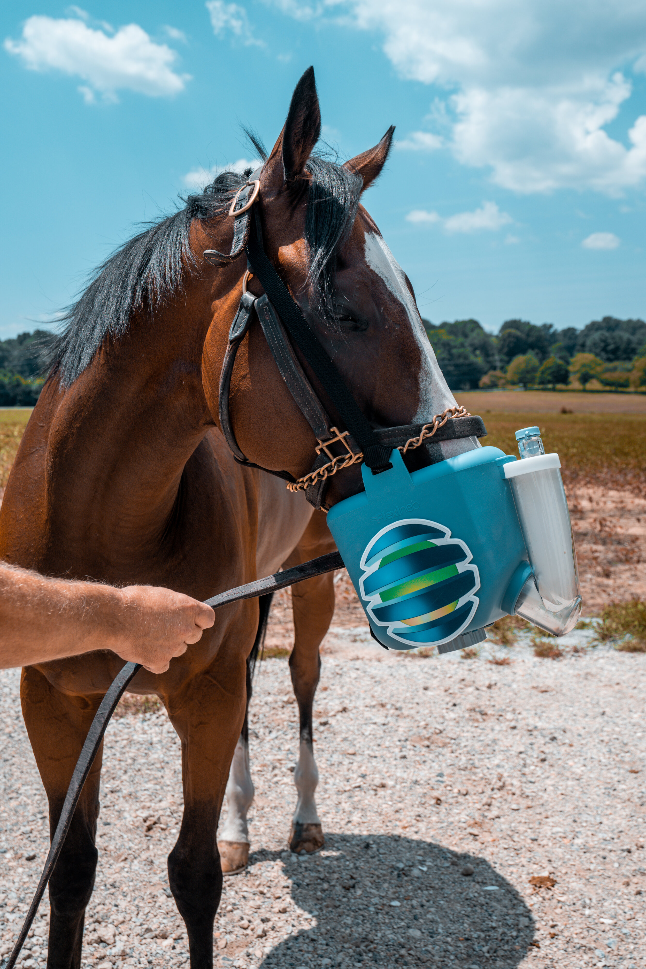 Nebulizer 2.jpg