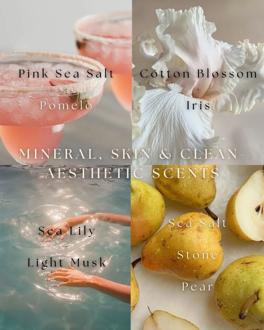 Soft Musks and Airy notes