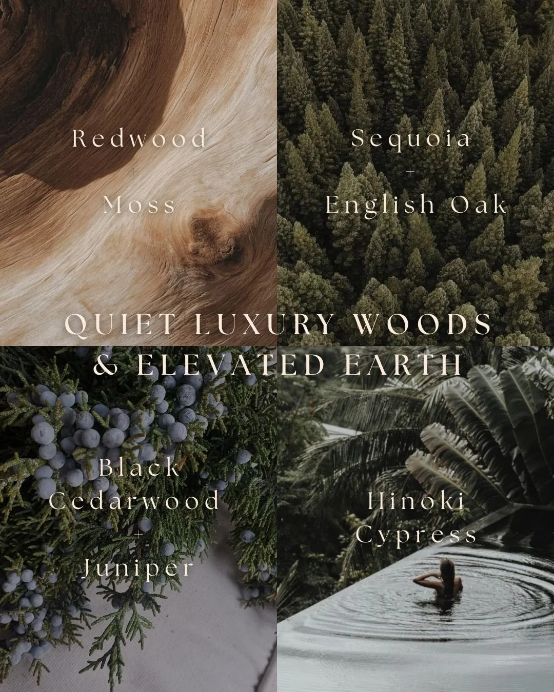 Wood and earthy scents