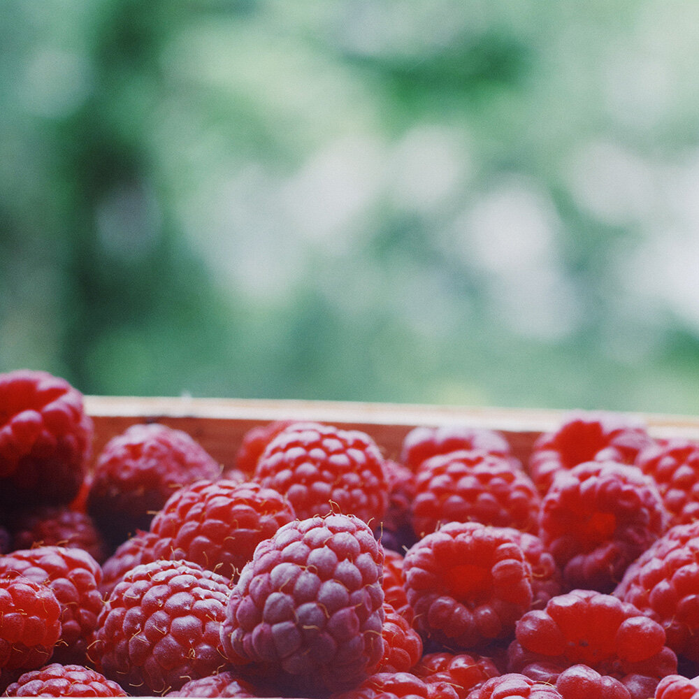 fresh raspberries close up.jpg