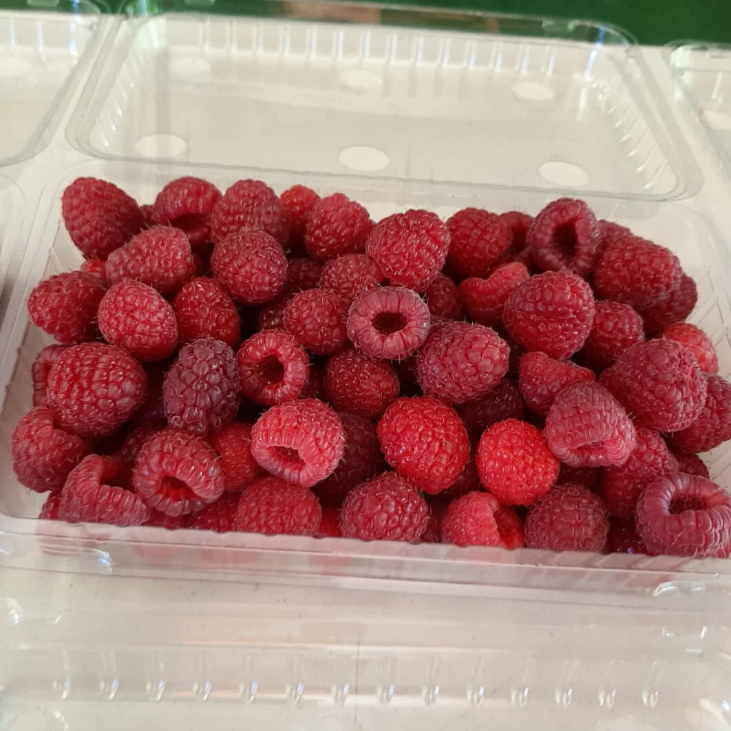 Fresh raspberries.jpg