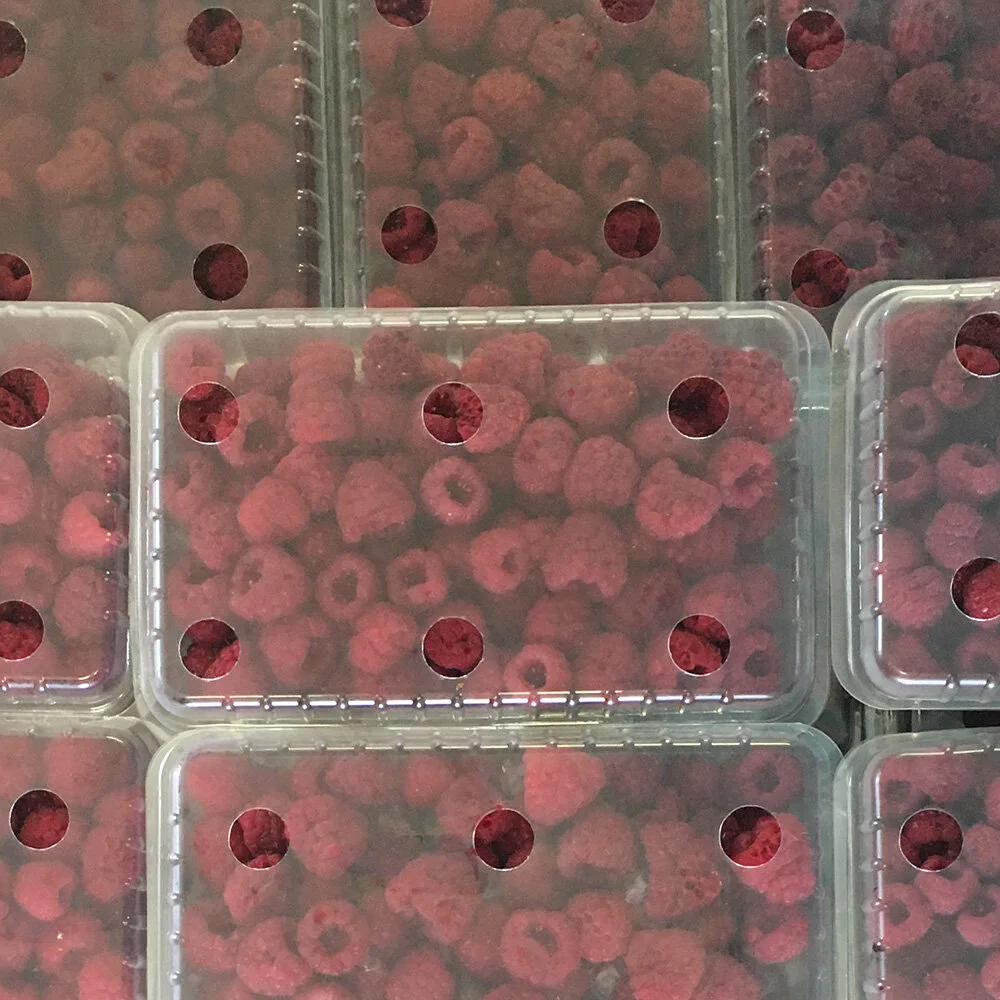 Frozen raspberries.jpg