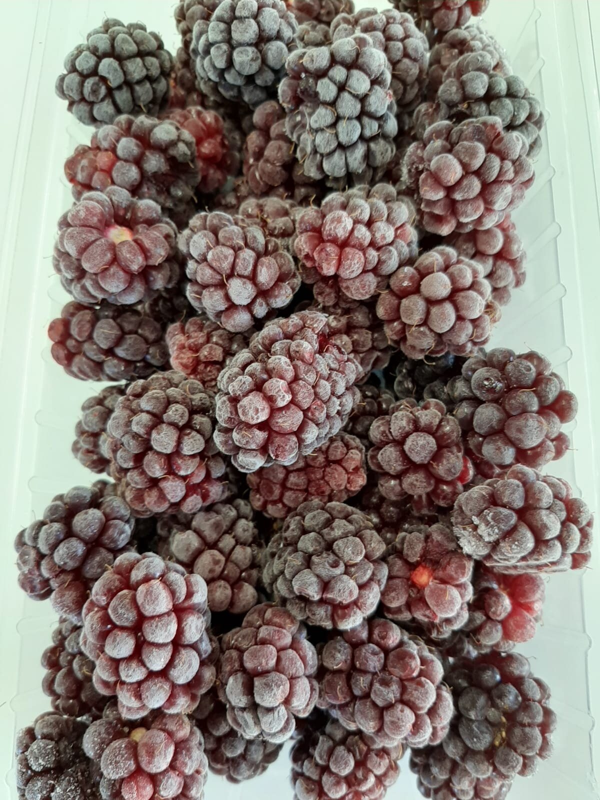 Frozen boysenberries seconds.jpg