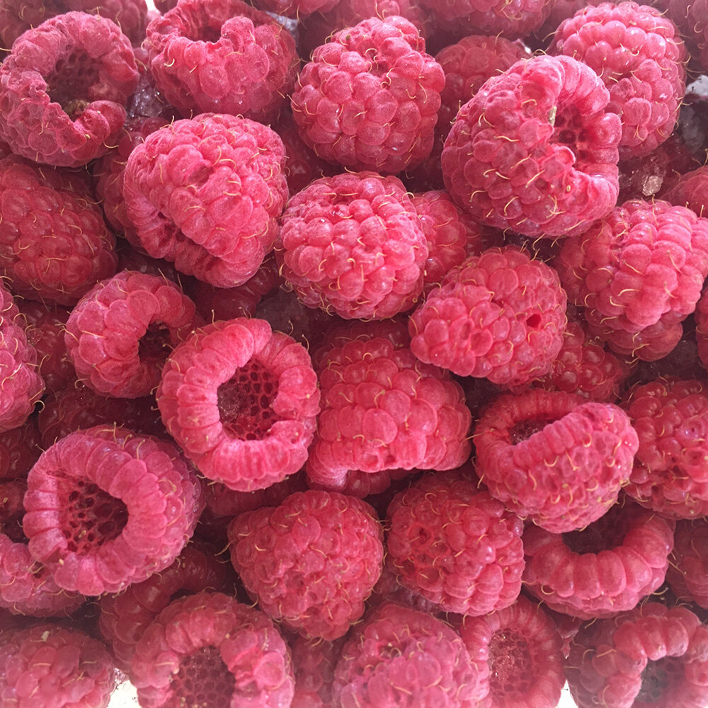 Frozen First Grade Heritage Raspberries 