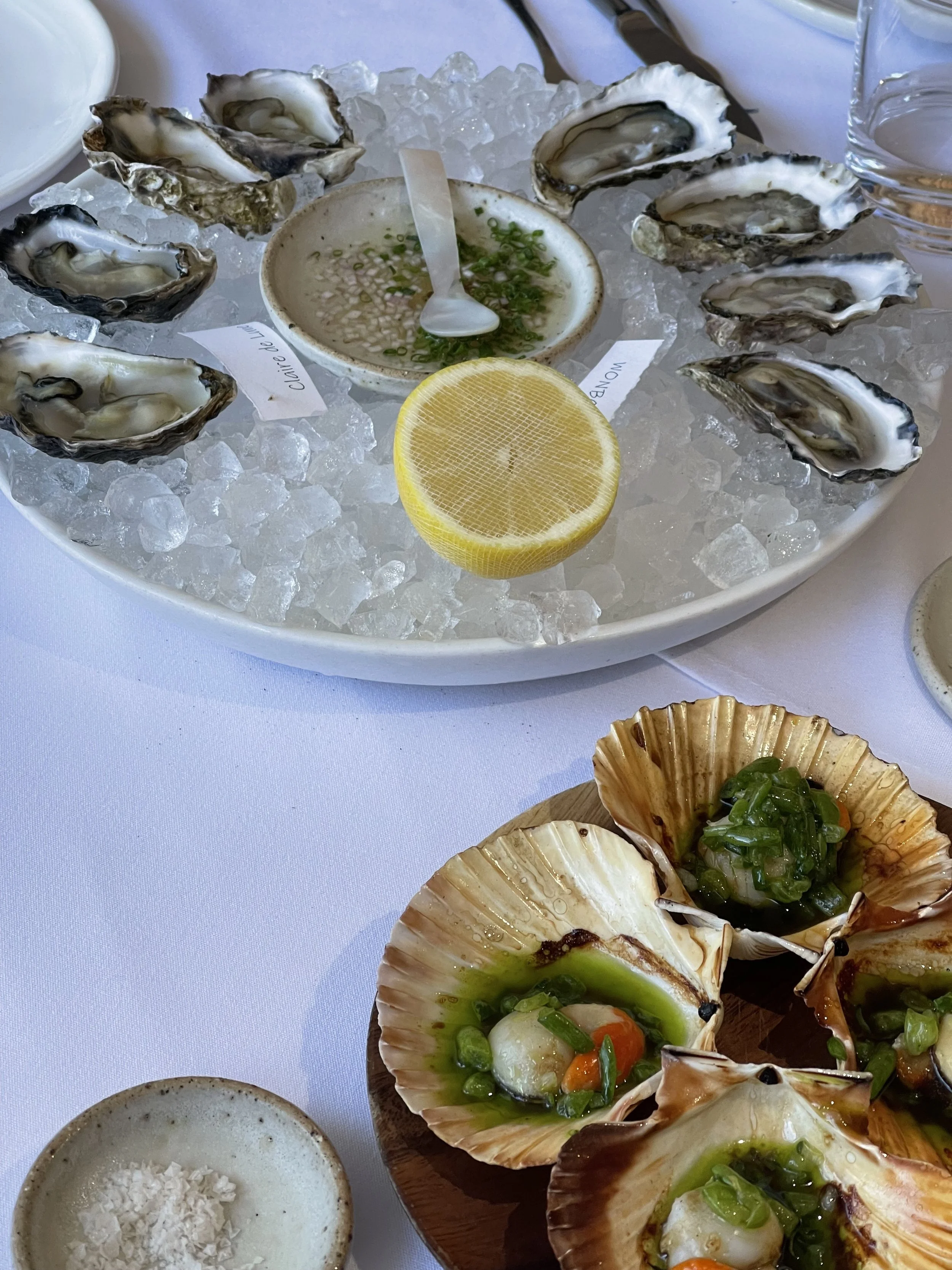 Photo 5-8-2022, 1 03 33 pm.jpg