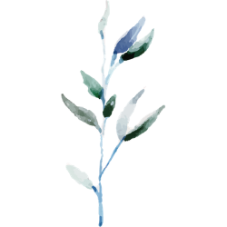 17.png
