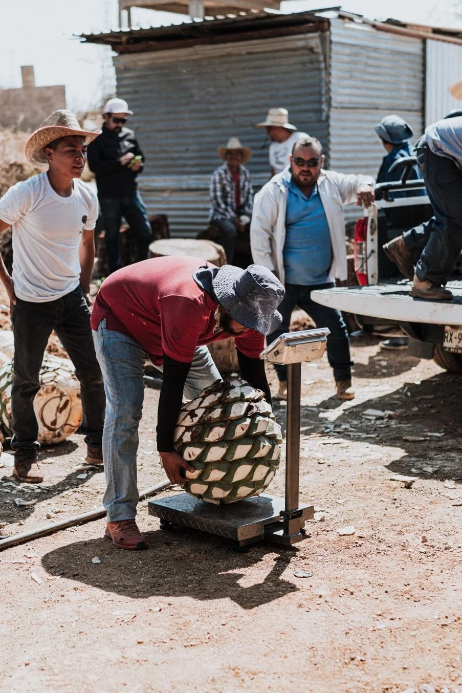 OAXACA+DAY+3+-96.jpg