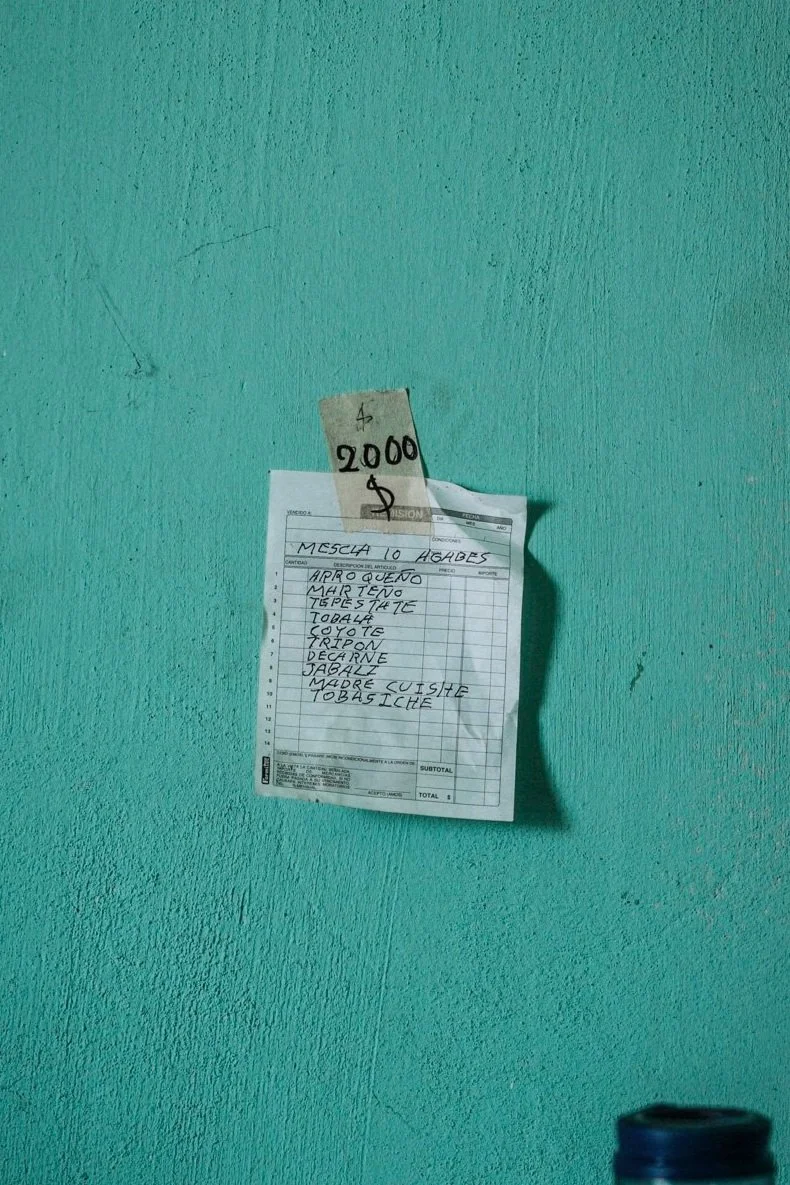 OAXACA+DAY+3+-71_1.jpg