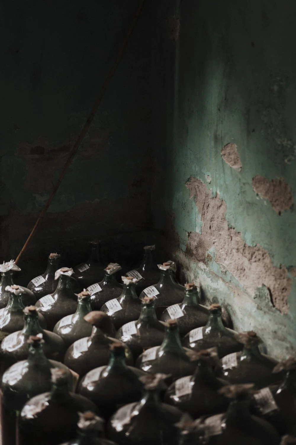 OAXACA DAY 1 - 114.jpg