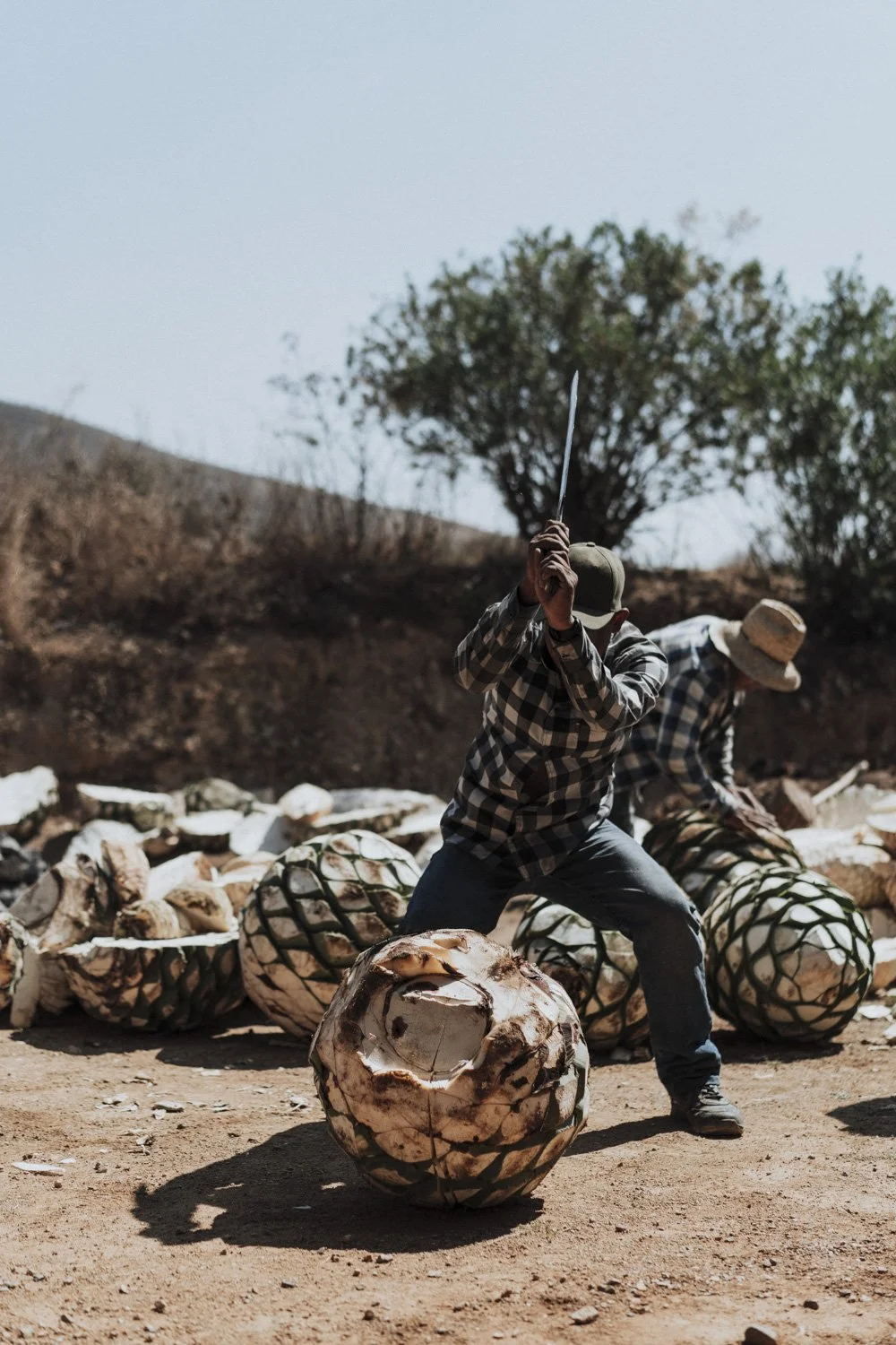 OAXACA DAY 3 -101.jpg