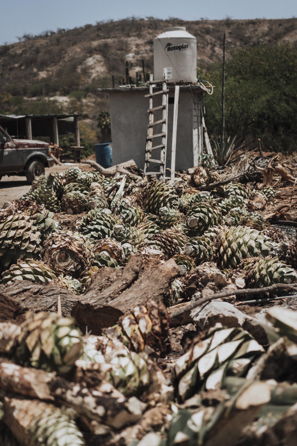 OAXACA DAY 2-18.jpg