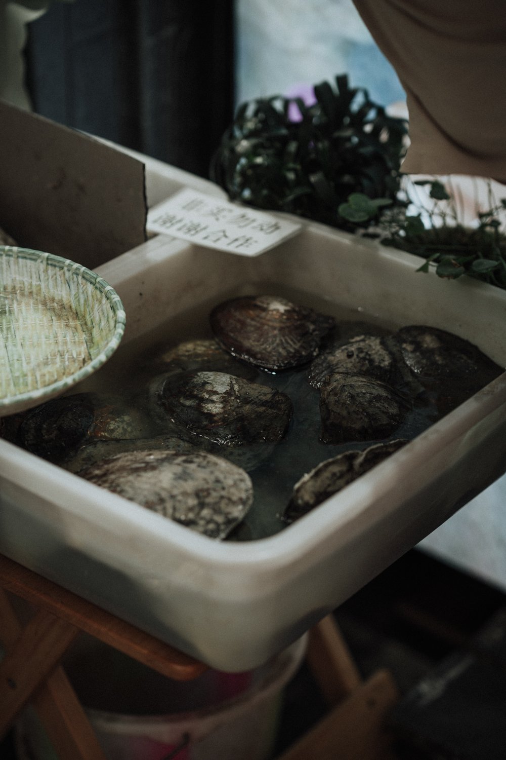 CHINA - JINLI ST 1.jpg