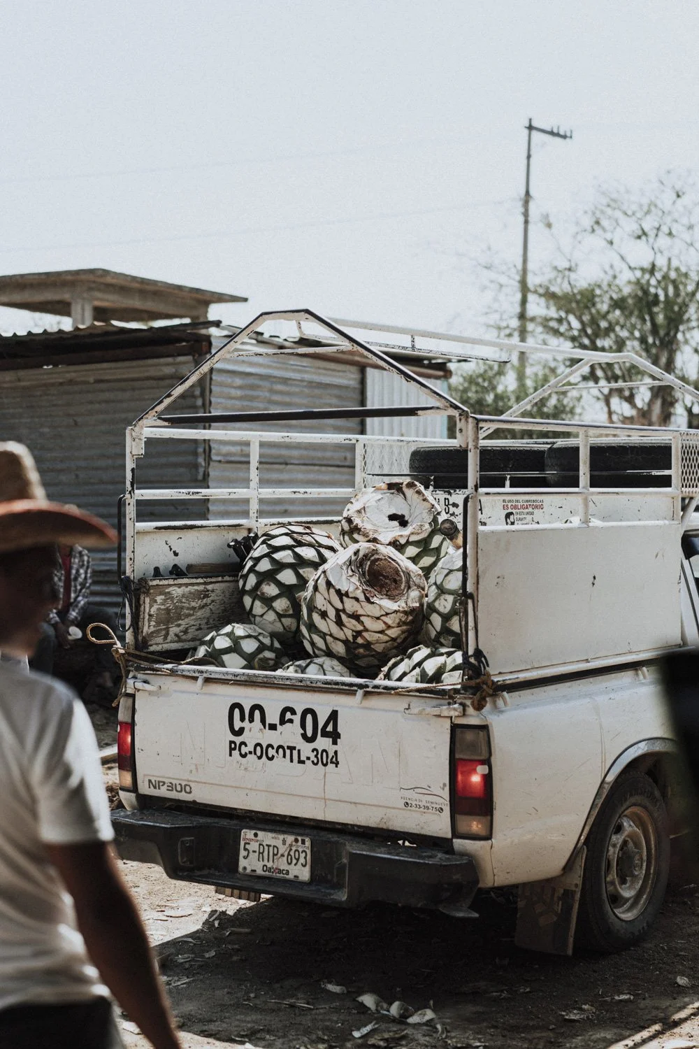 OAXACA DAY 3 -97.jpg