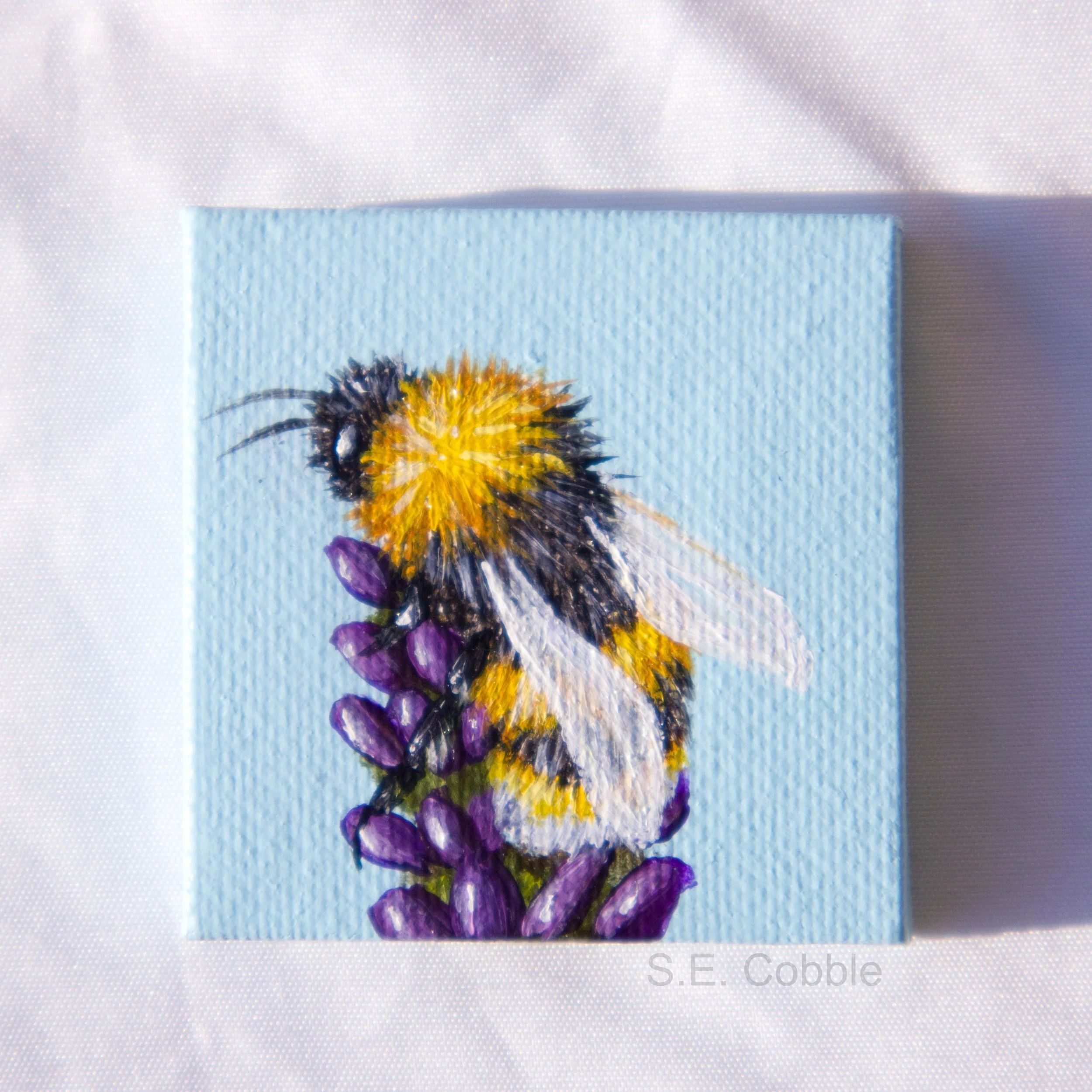 bee for web 1.jpg