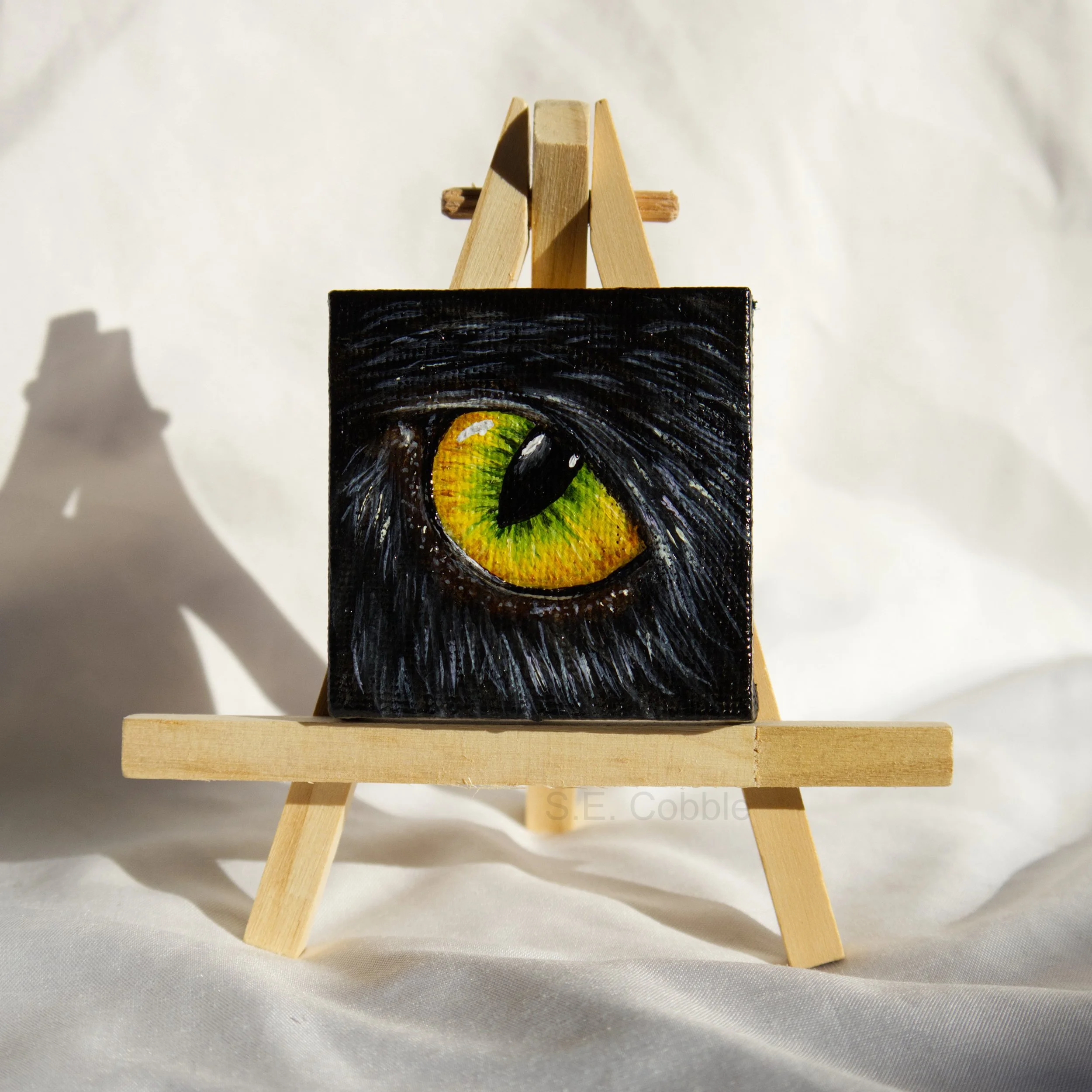 cat eye for web 2.jpg