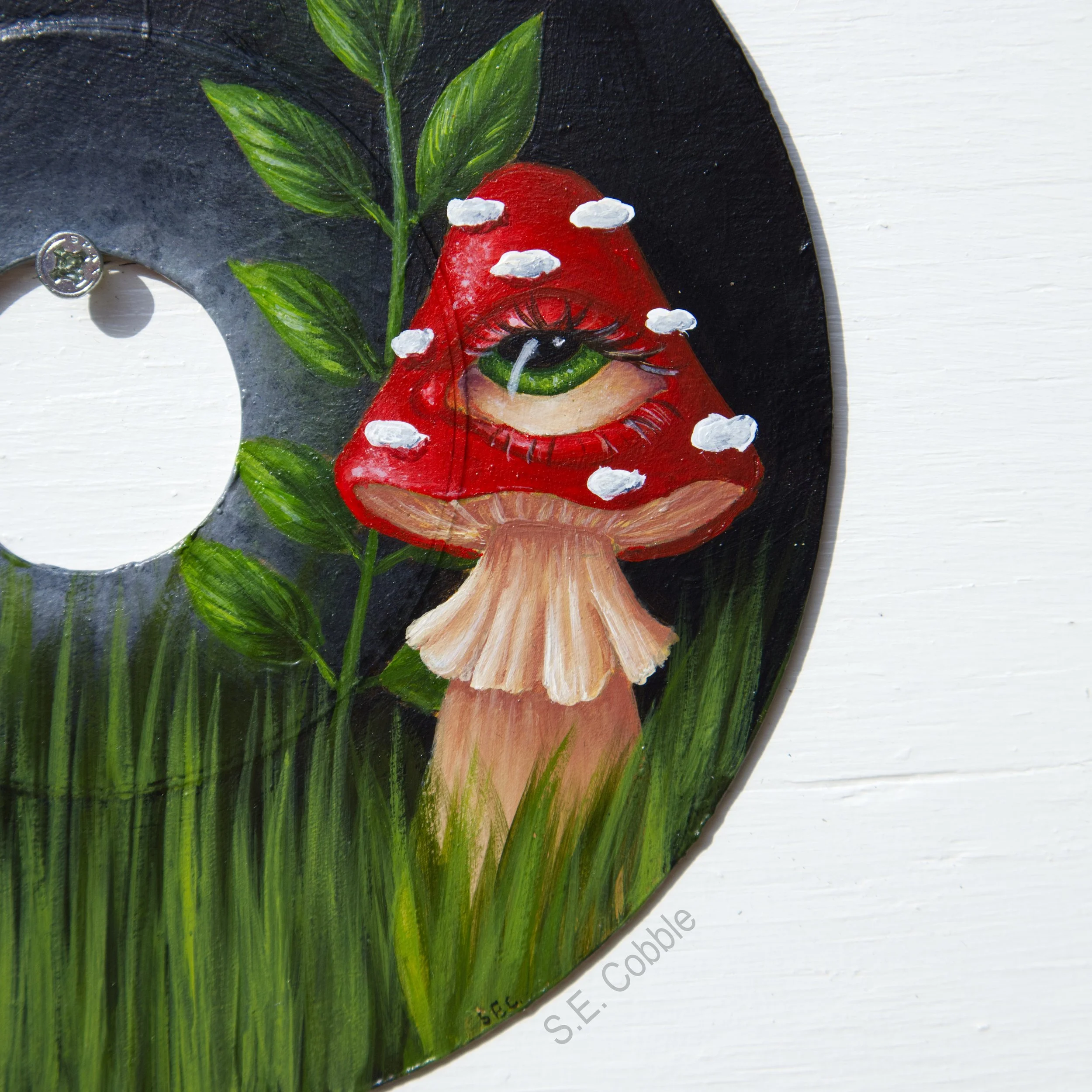 mushroom vinyl for web 3.jpg