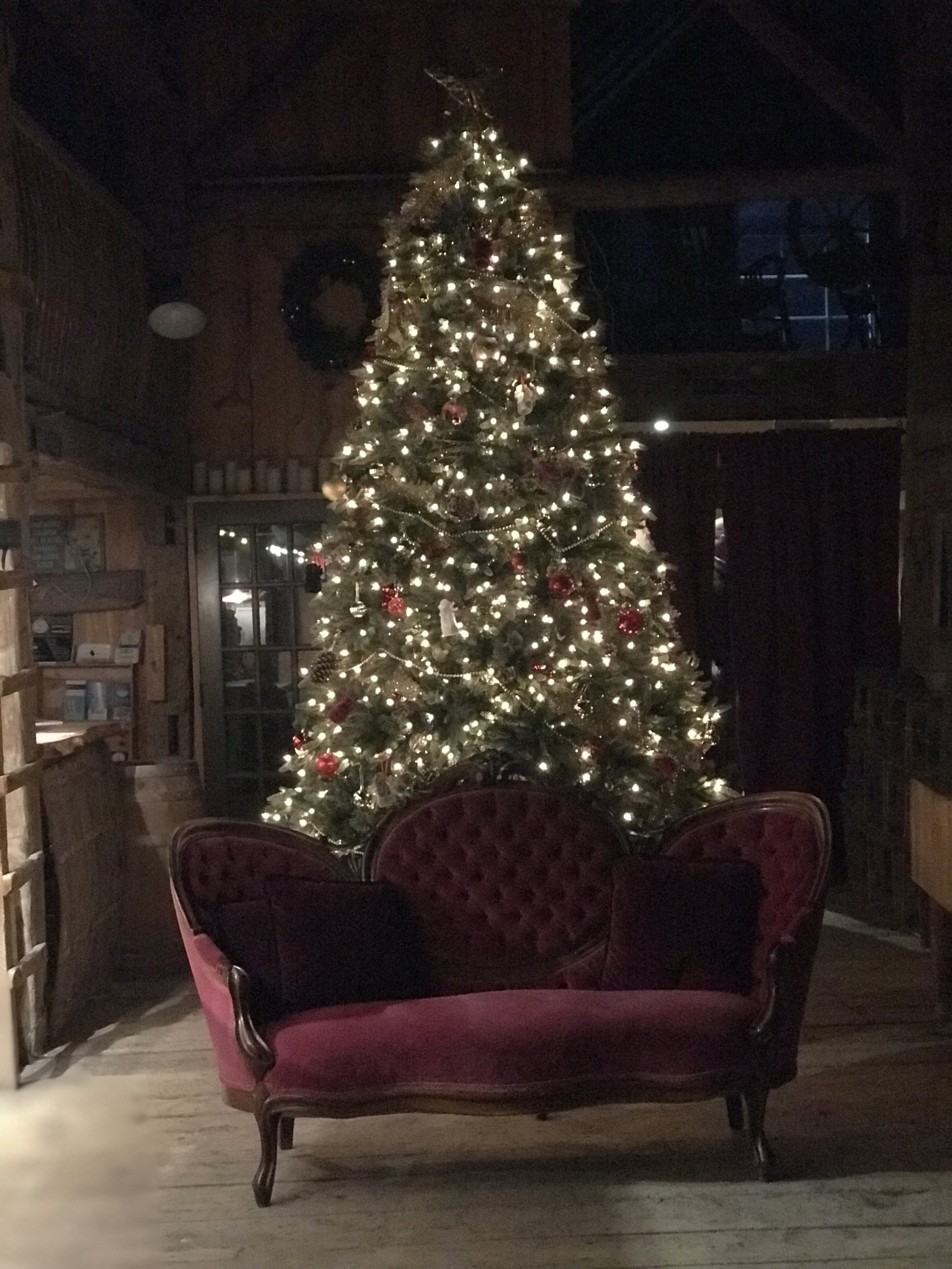 Christmas Tree.jpeg