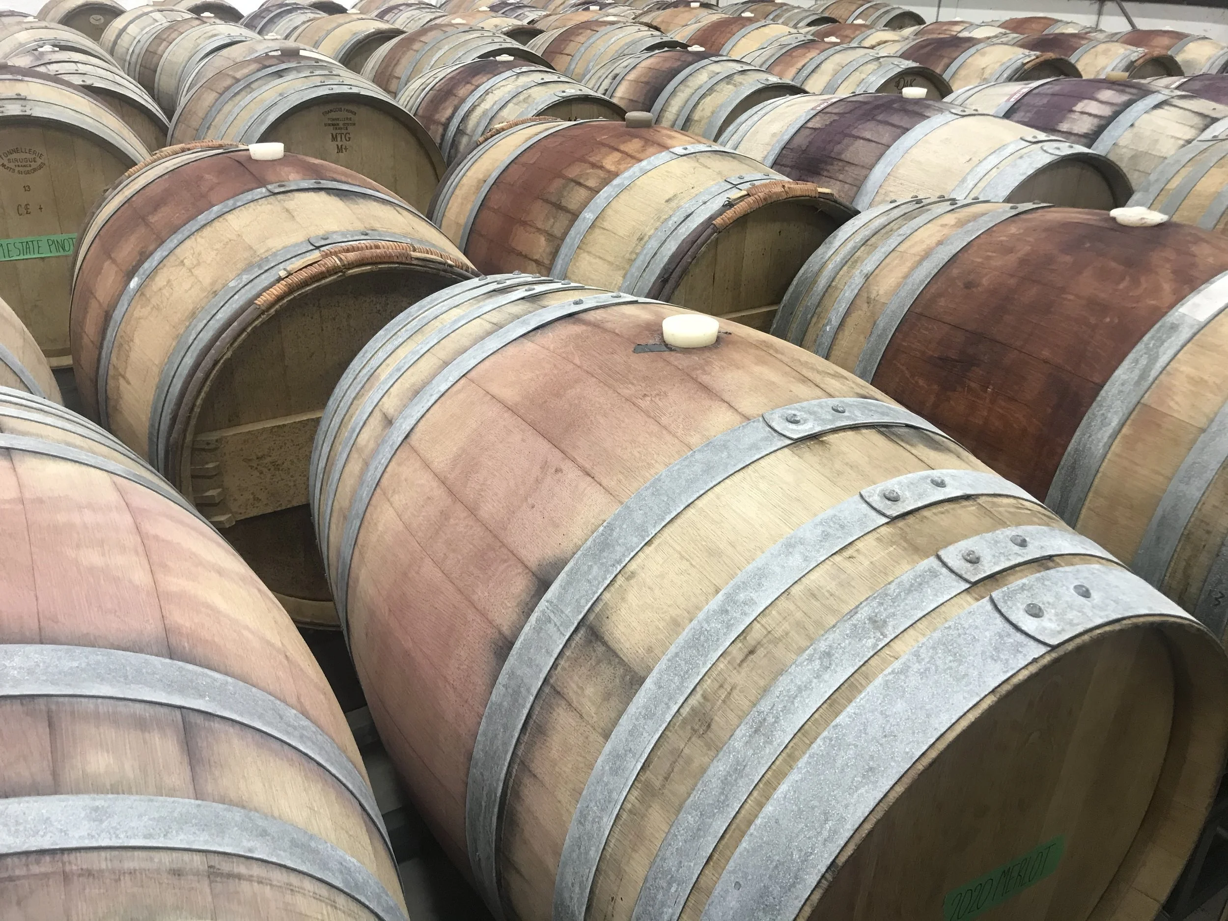 Sea of Barrels.jpg