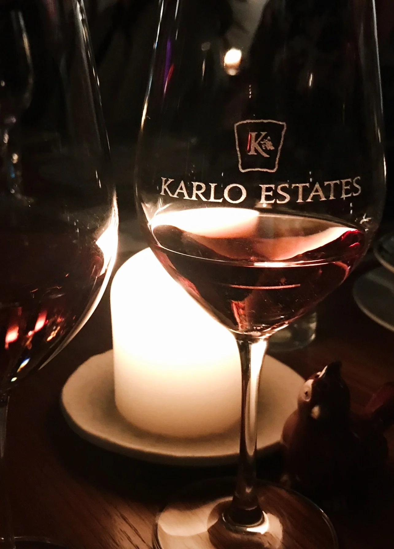 Solar Eclips Dinner Shot.JPEG