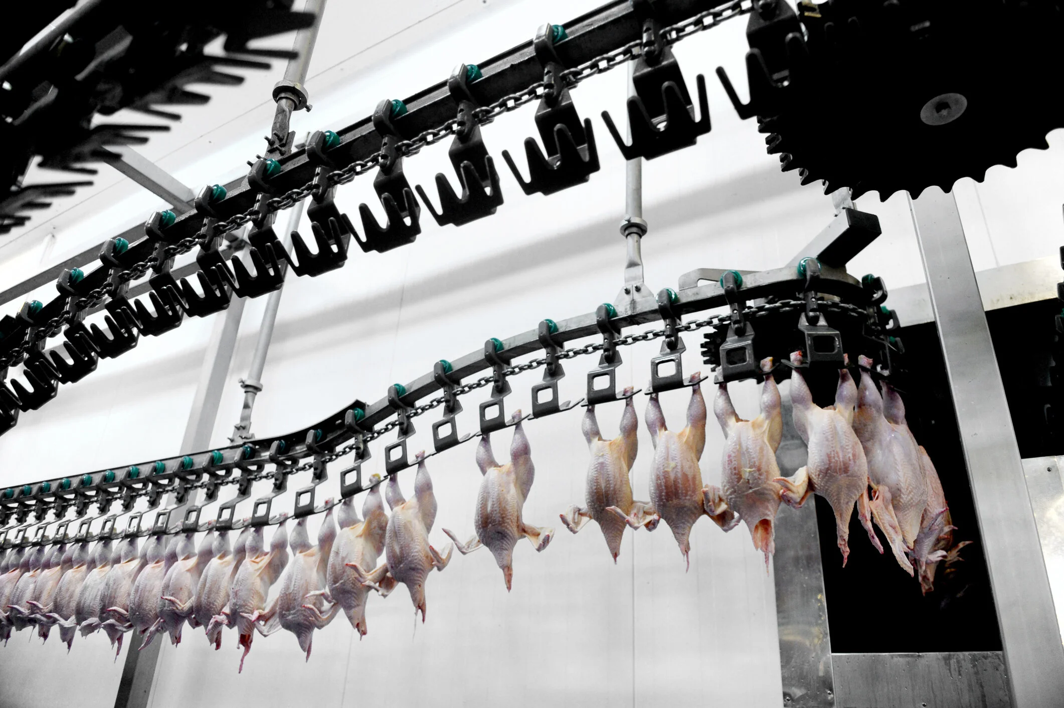 USDA Continues to Lift Meat Processing Line Speed Limits During Pandemic, Threatening Frontline Workers and Consumers