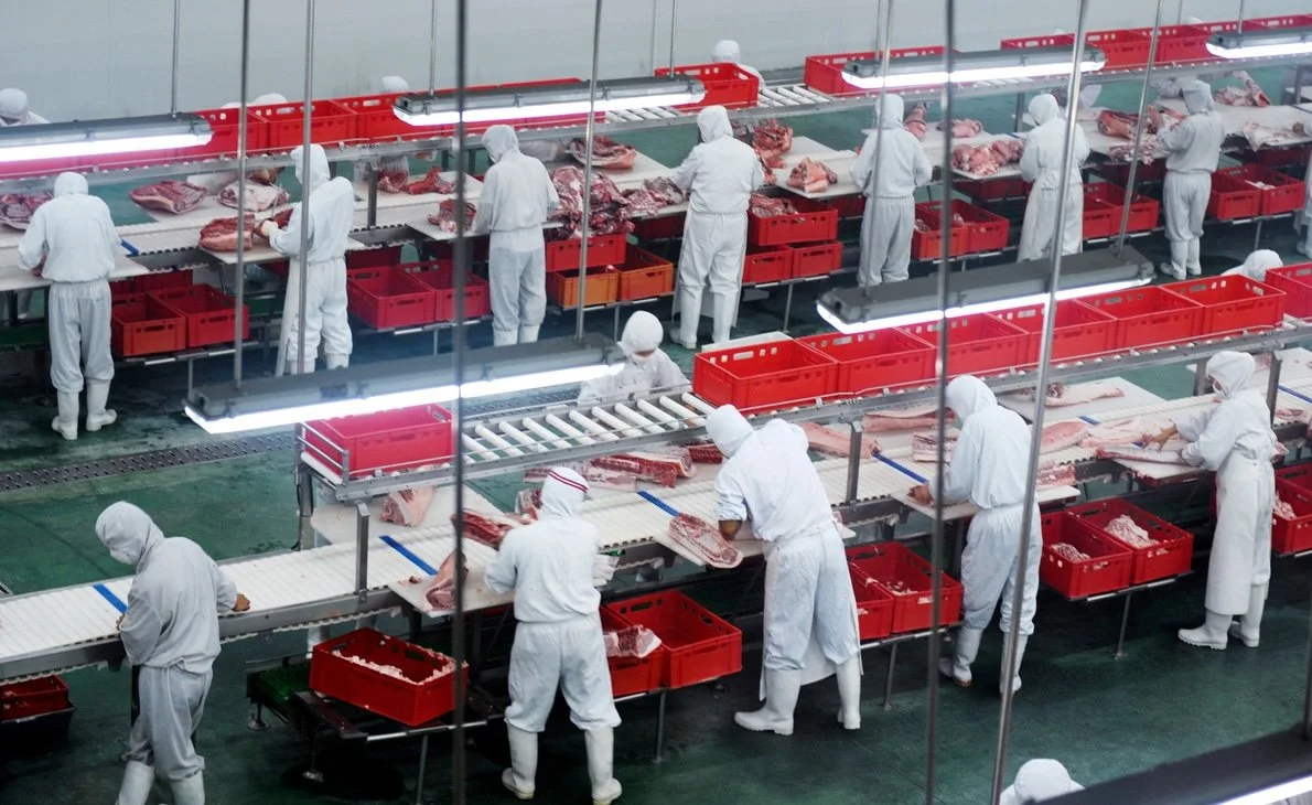 USDA Seeks to Increase Meatpacking Line Speeds, Threatening Workers, Consumers