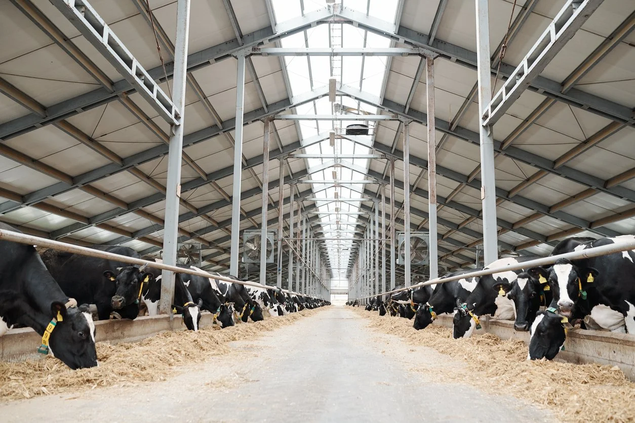 Minnesota Mega-Dairy Gets Greenlight to Expand