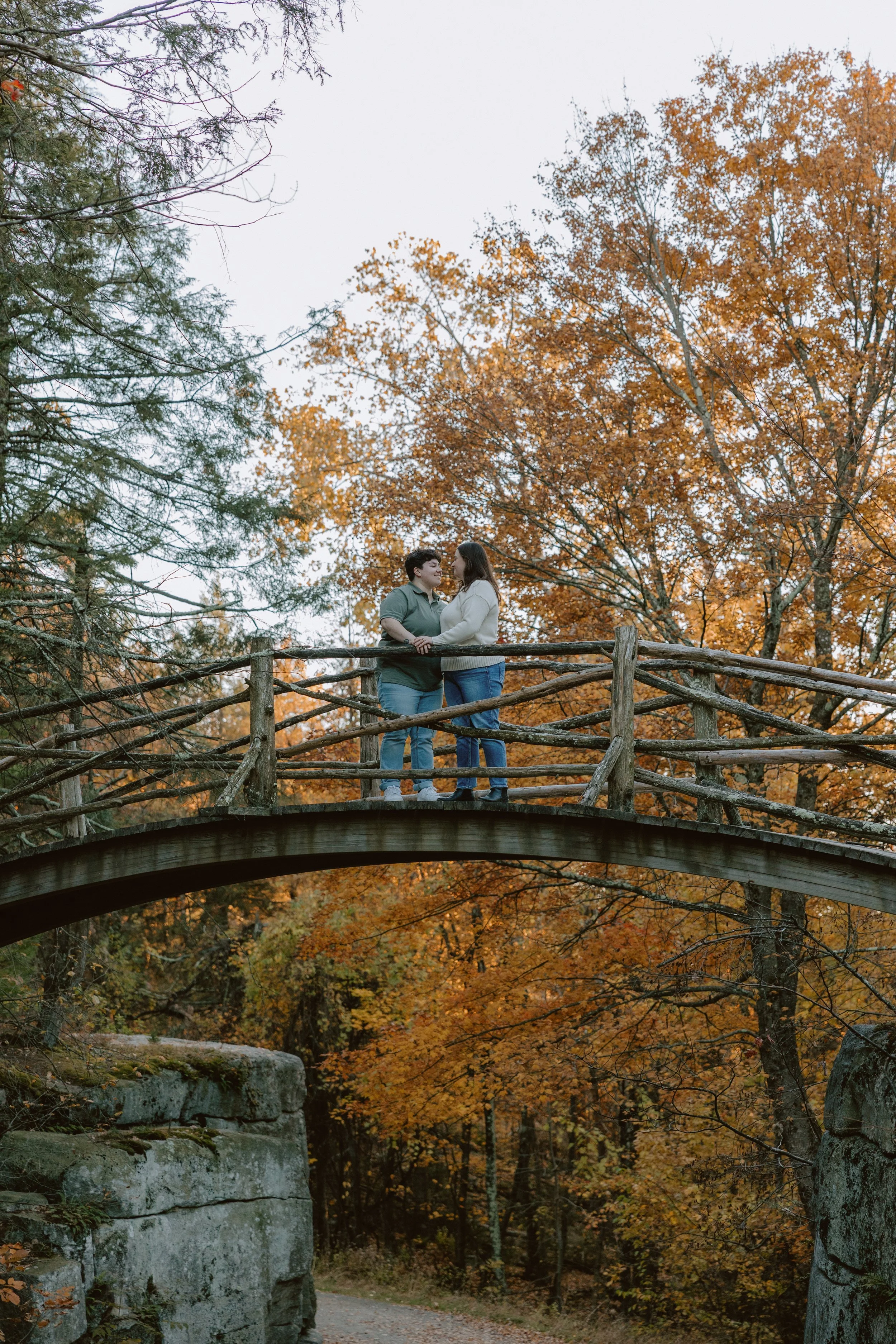 Minnewaska Bridge.jpg