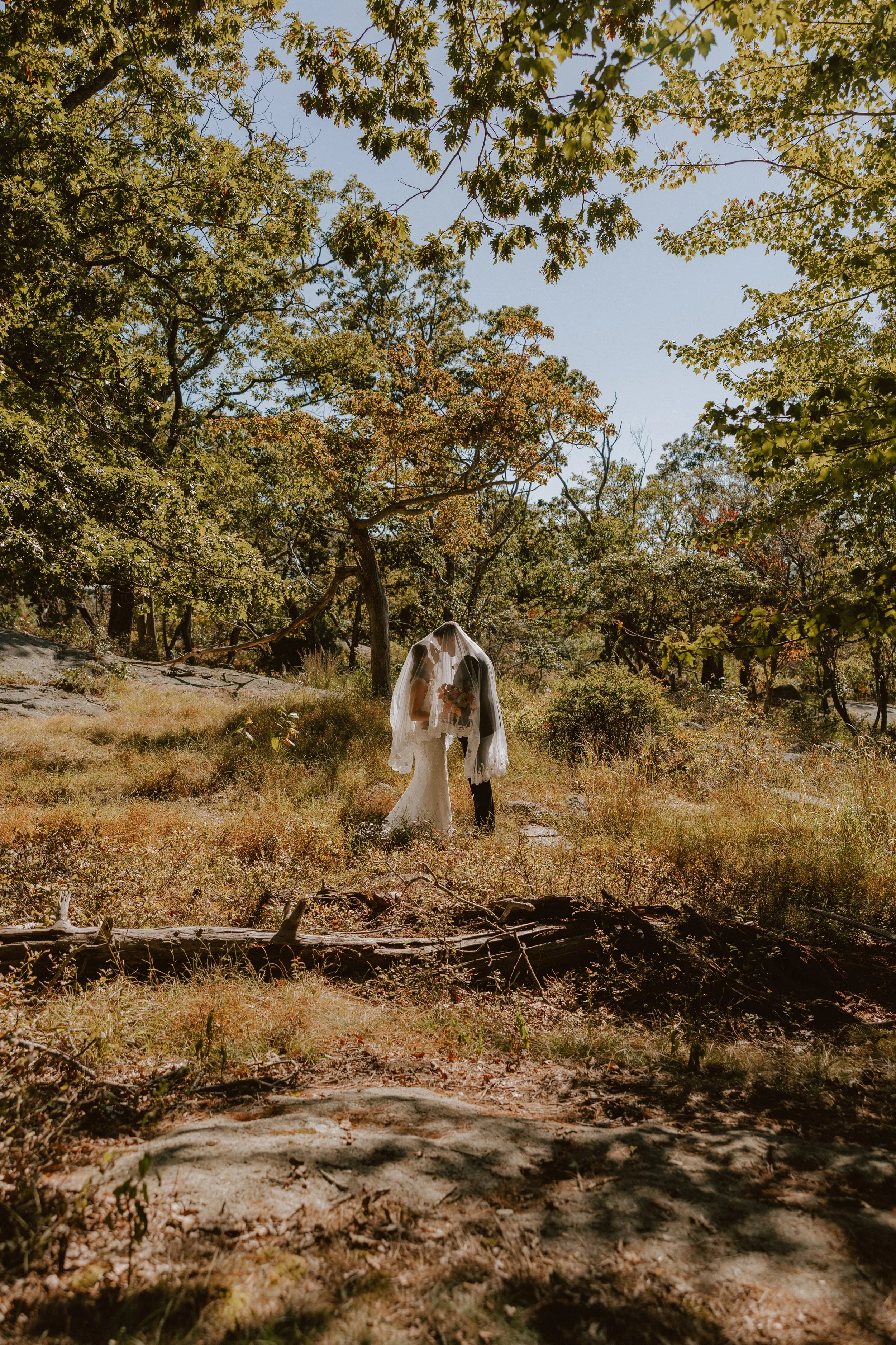 Perkins Memorial Tower Woods.jpg