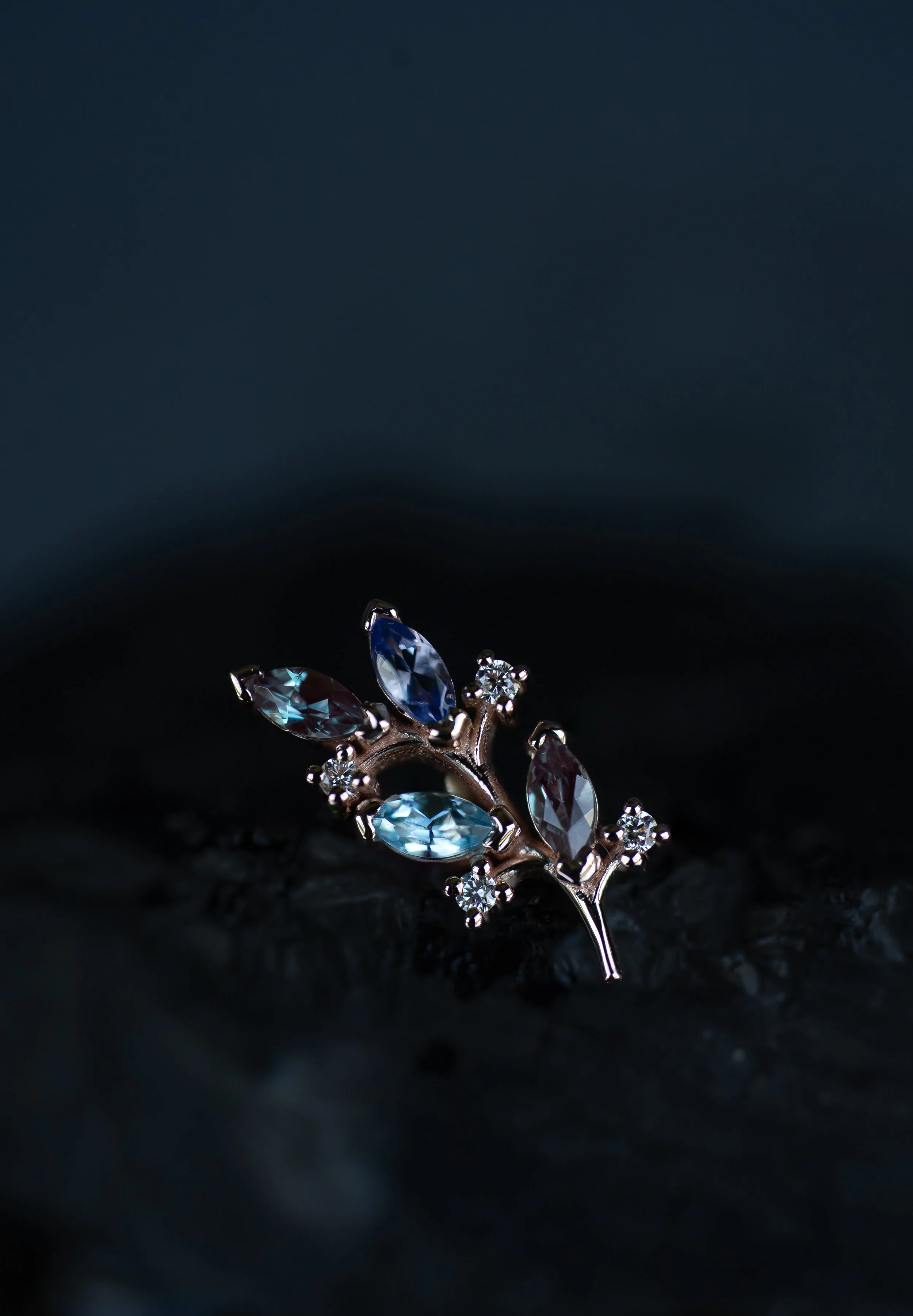 DSC04293-Edit.jpg